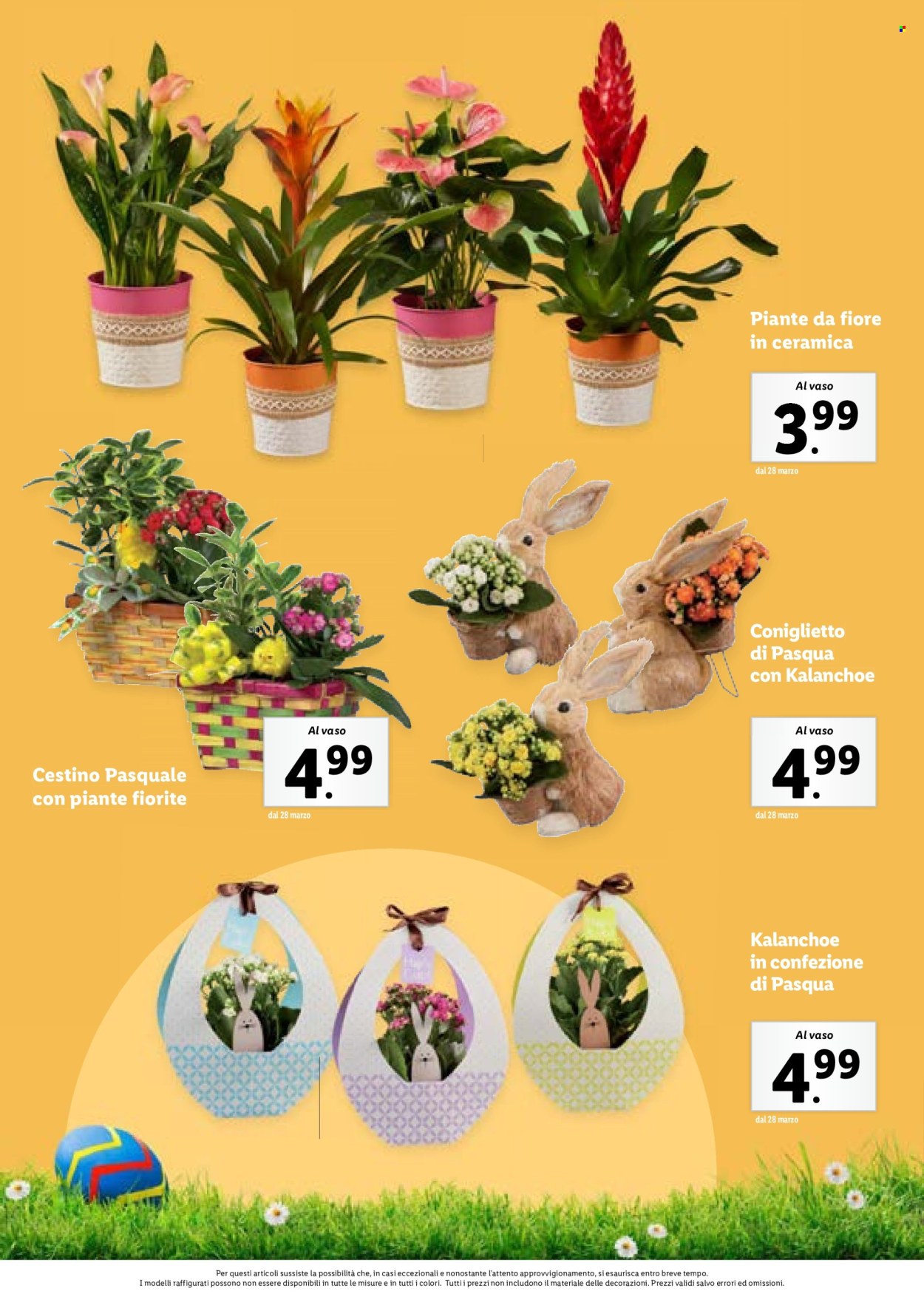 Volantino Lidl. Pagina 74