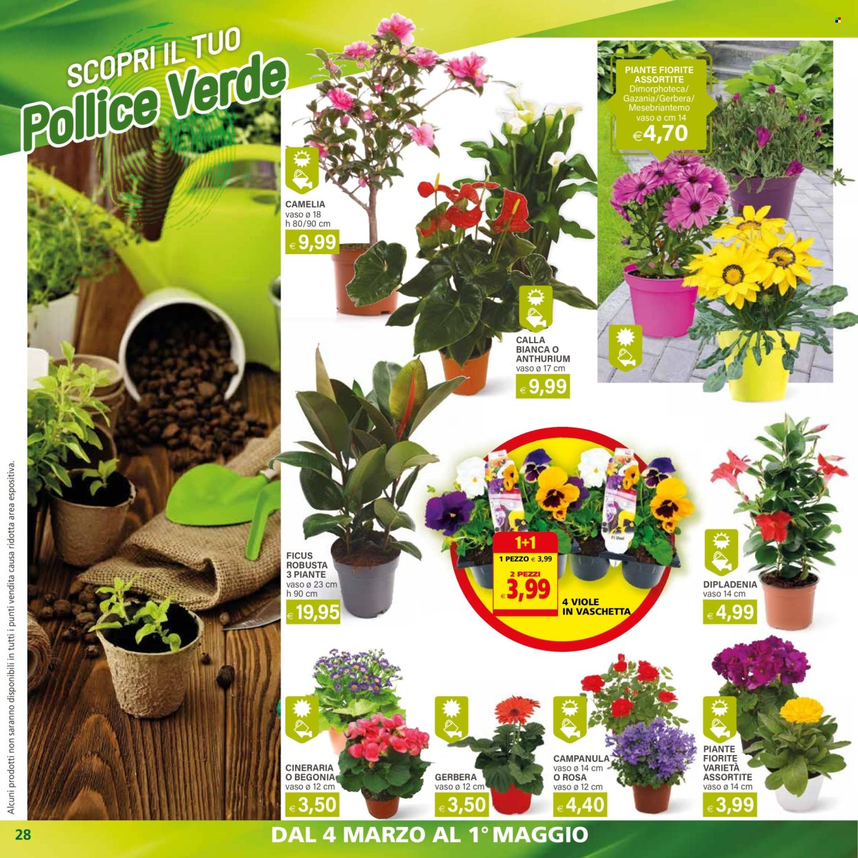 Volantino Il Gigante - 4/3/2024 - 17/3/2024. Pagina 28