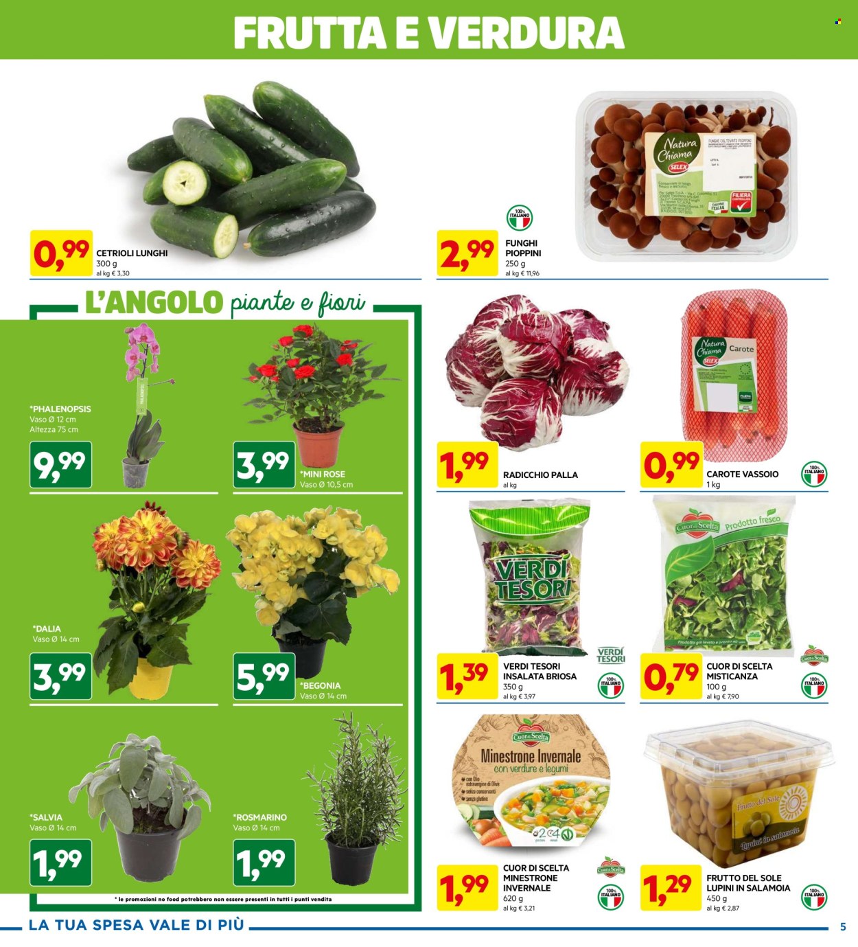 Volantino Dpiù - 7/3/2024 - 17/3/2024. Pagina 5