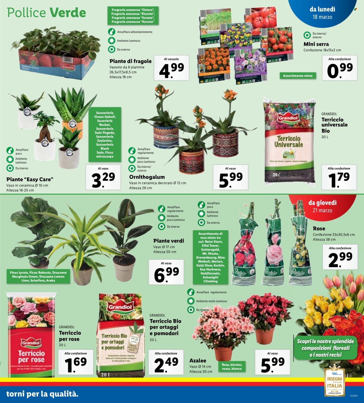 Volantino Lidl - 18/3/2024 - 24/3/2024. Pagina 27