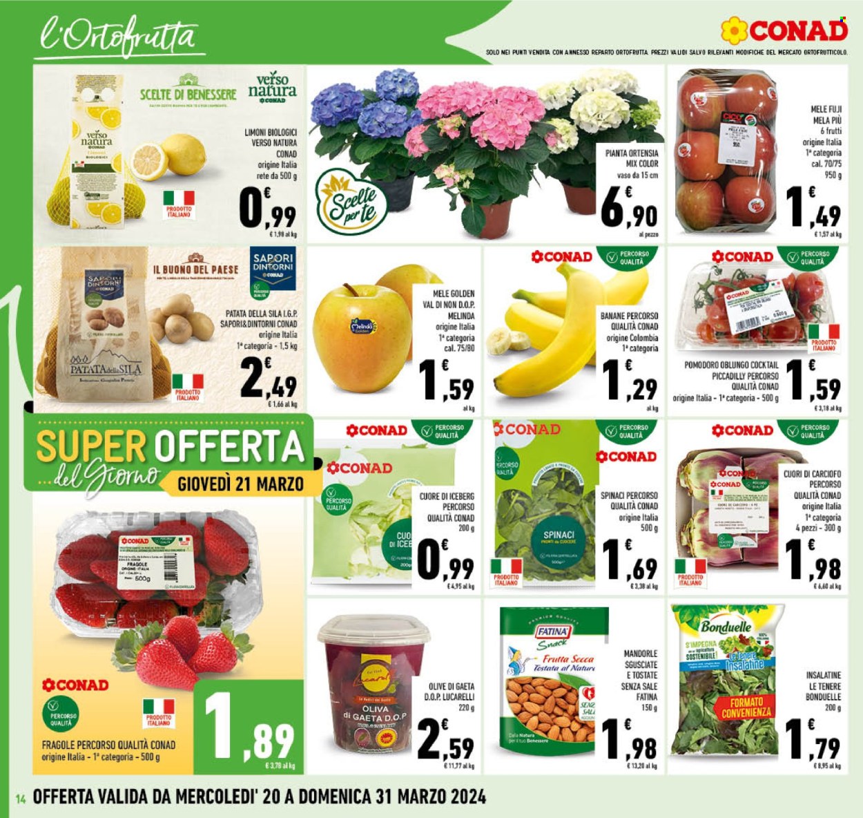 Leták Conad - 20.3.2024 - 31.3.2024. Strana 14