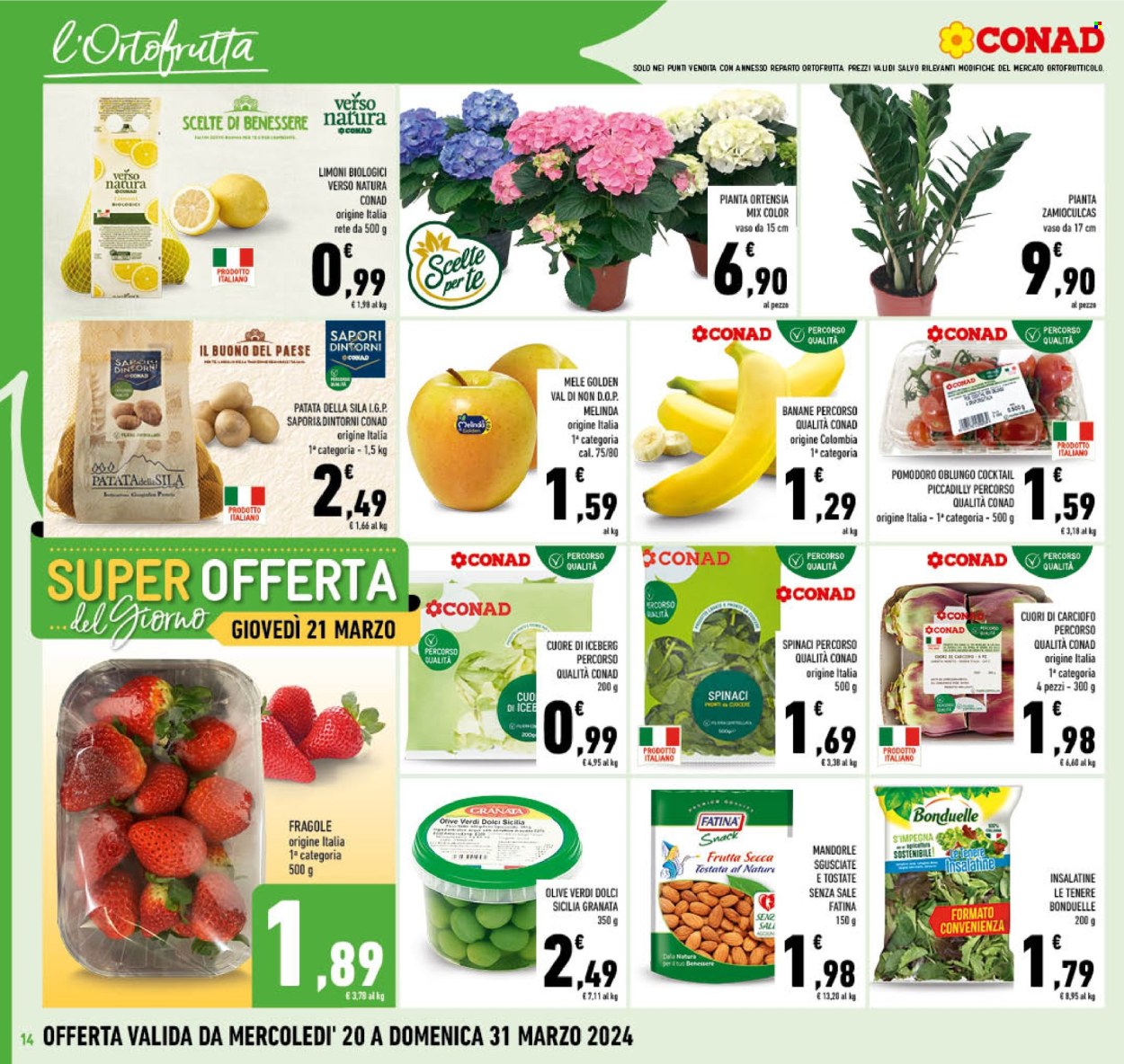 Volantino Conad - 20/3/2024 - 30/3/2024. Pagina 14