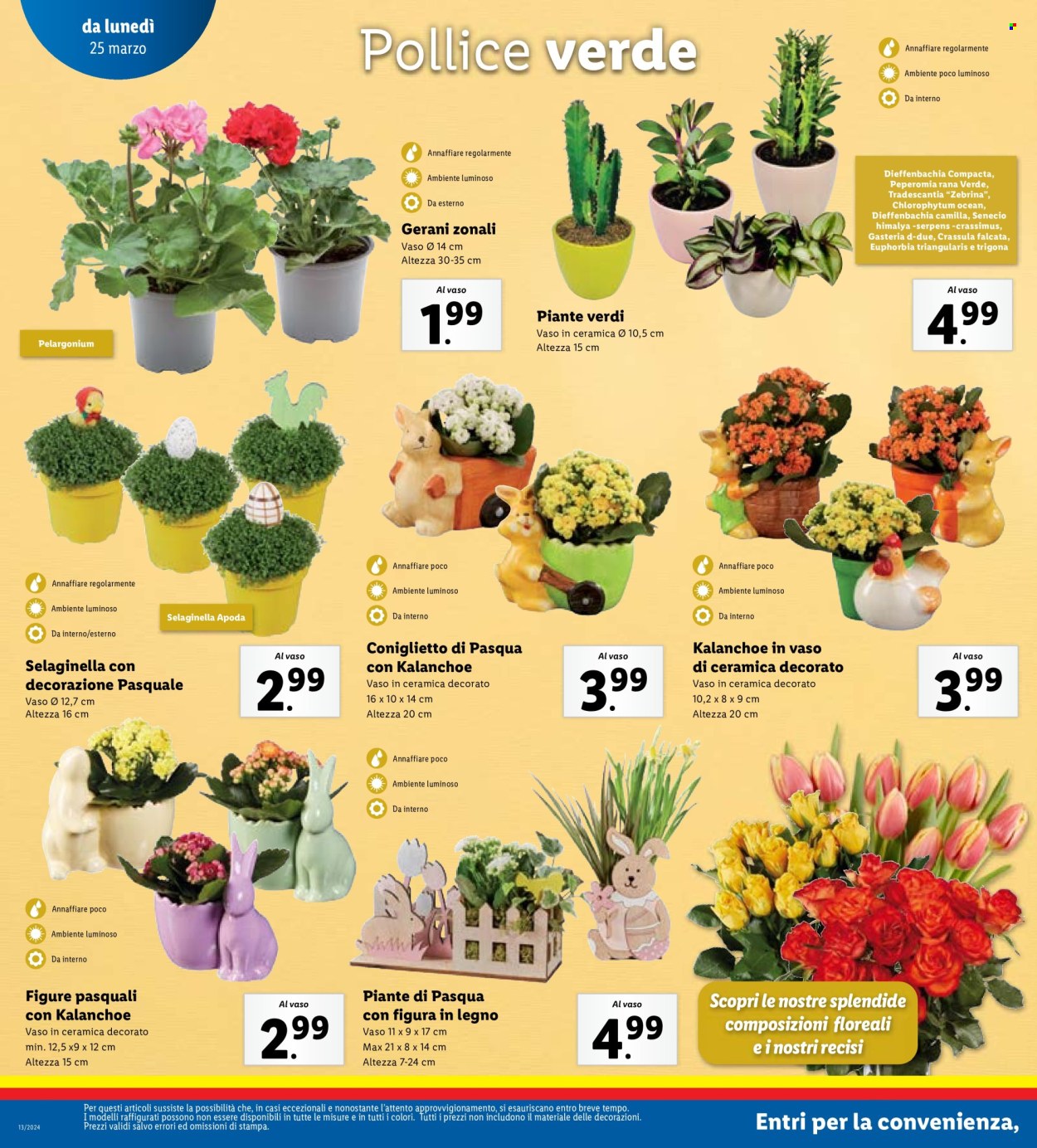 Volantino Lidl - 25/3/2024 - 30/3/2024. Pagina 20