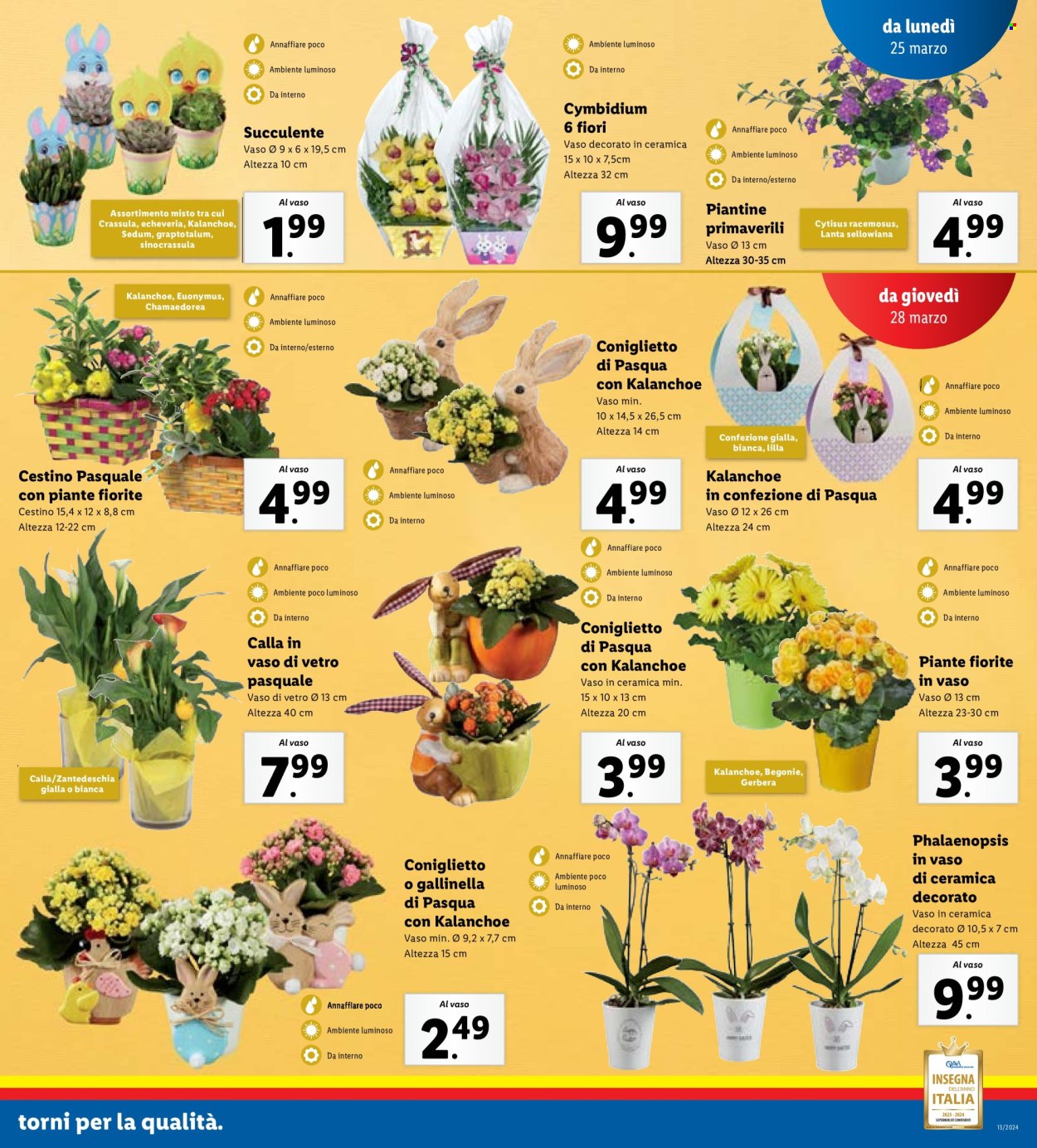 Volantino Lidl - 25/3/2024 - 30/3/2024. Pagina 21