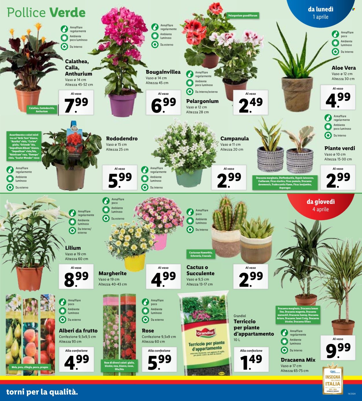 Volantino Lidl - 1/4/2024 - 7/4/2024. Pagina 11