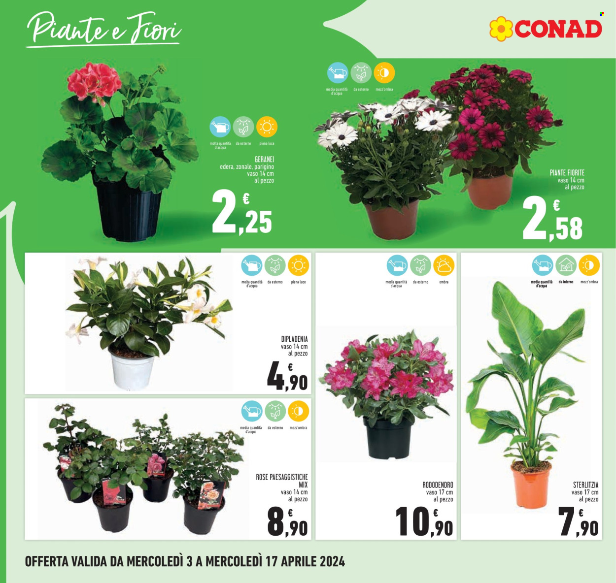 Volantino Conad - 3/4/2024 - 17/4/2024. Pagina 20