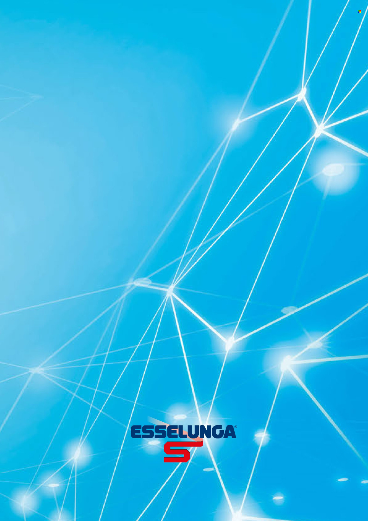 Volantino Esselunga - 1/4/2024 - 31/7/2024. Pagina 19