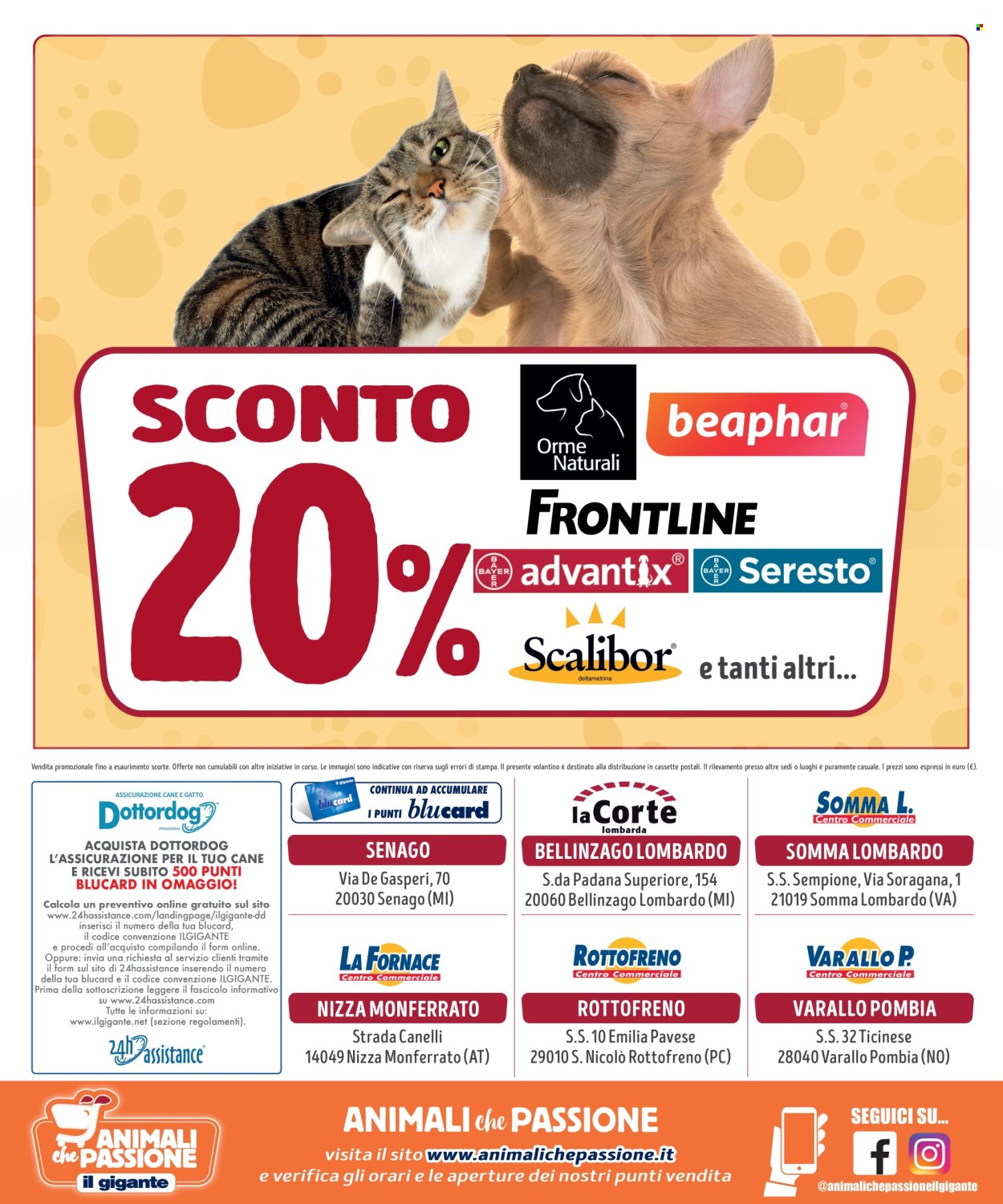 Volantino Il Gigante - 4/4/2024 - 1/5/2024. Pagina 8