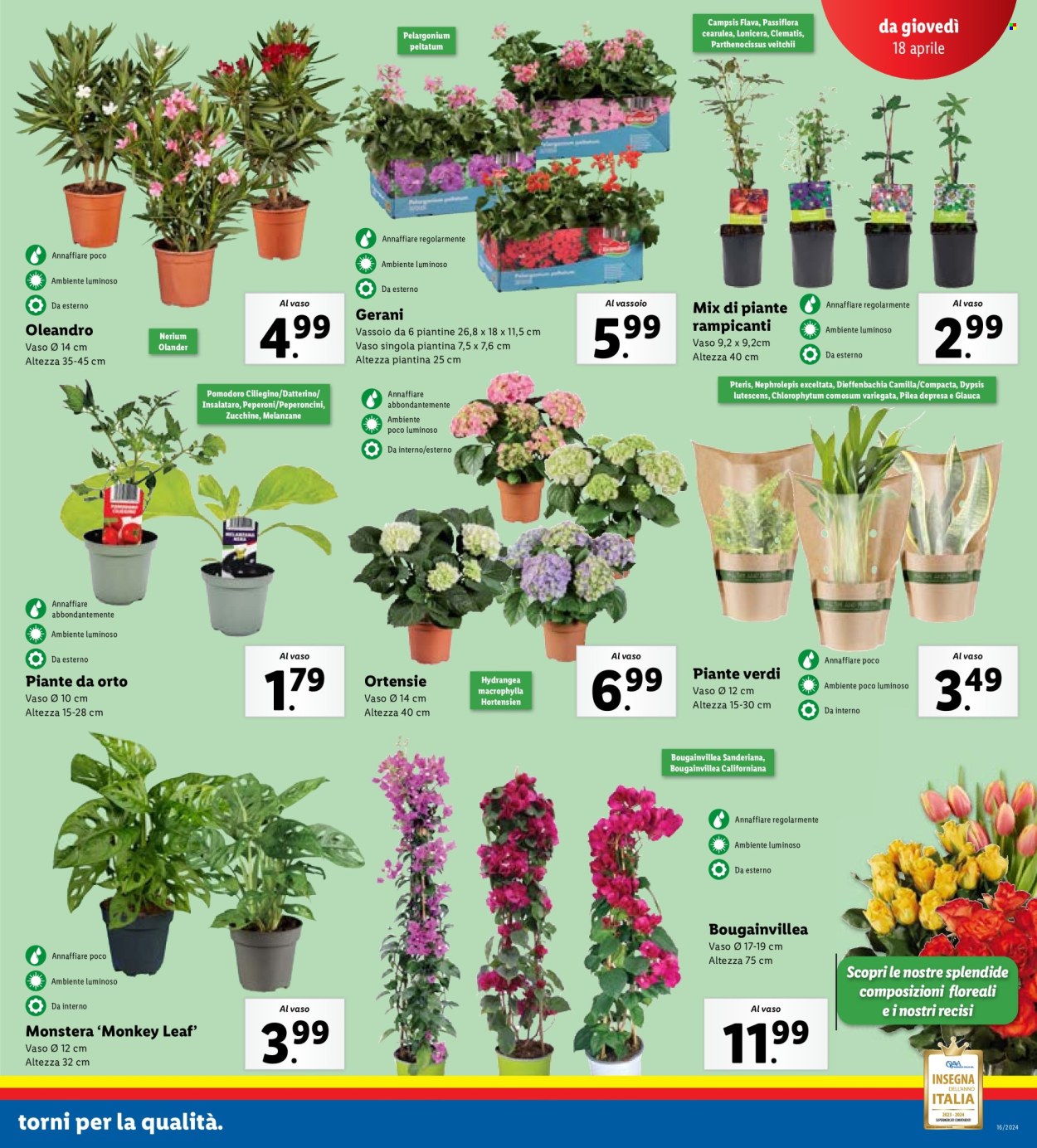 Volantino Lidl - 15/4/2024 - 21/4/2024. Pagina 15