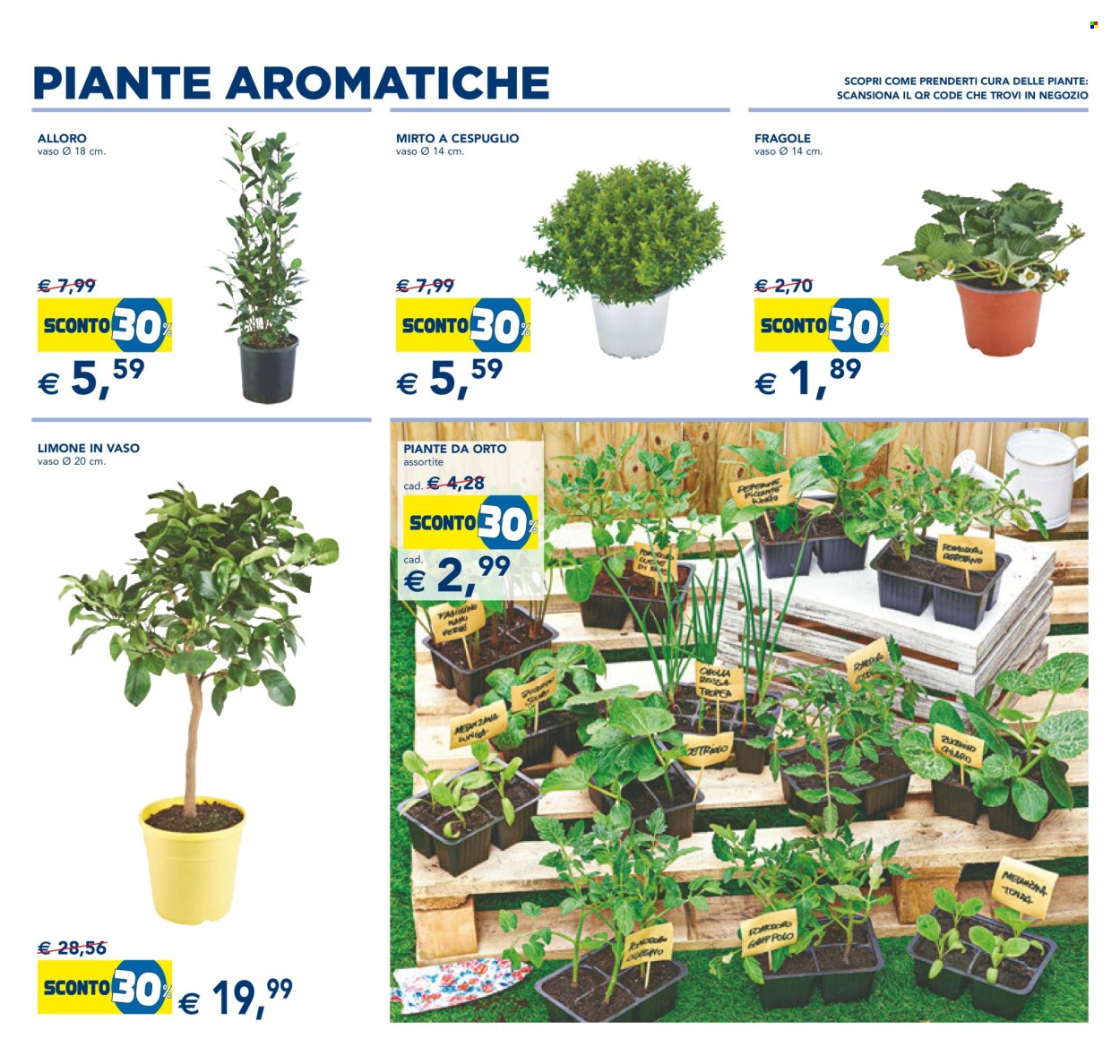 Volantino Esselunga - 15/4/2024 - 27/4/2024. Pagina 13