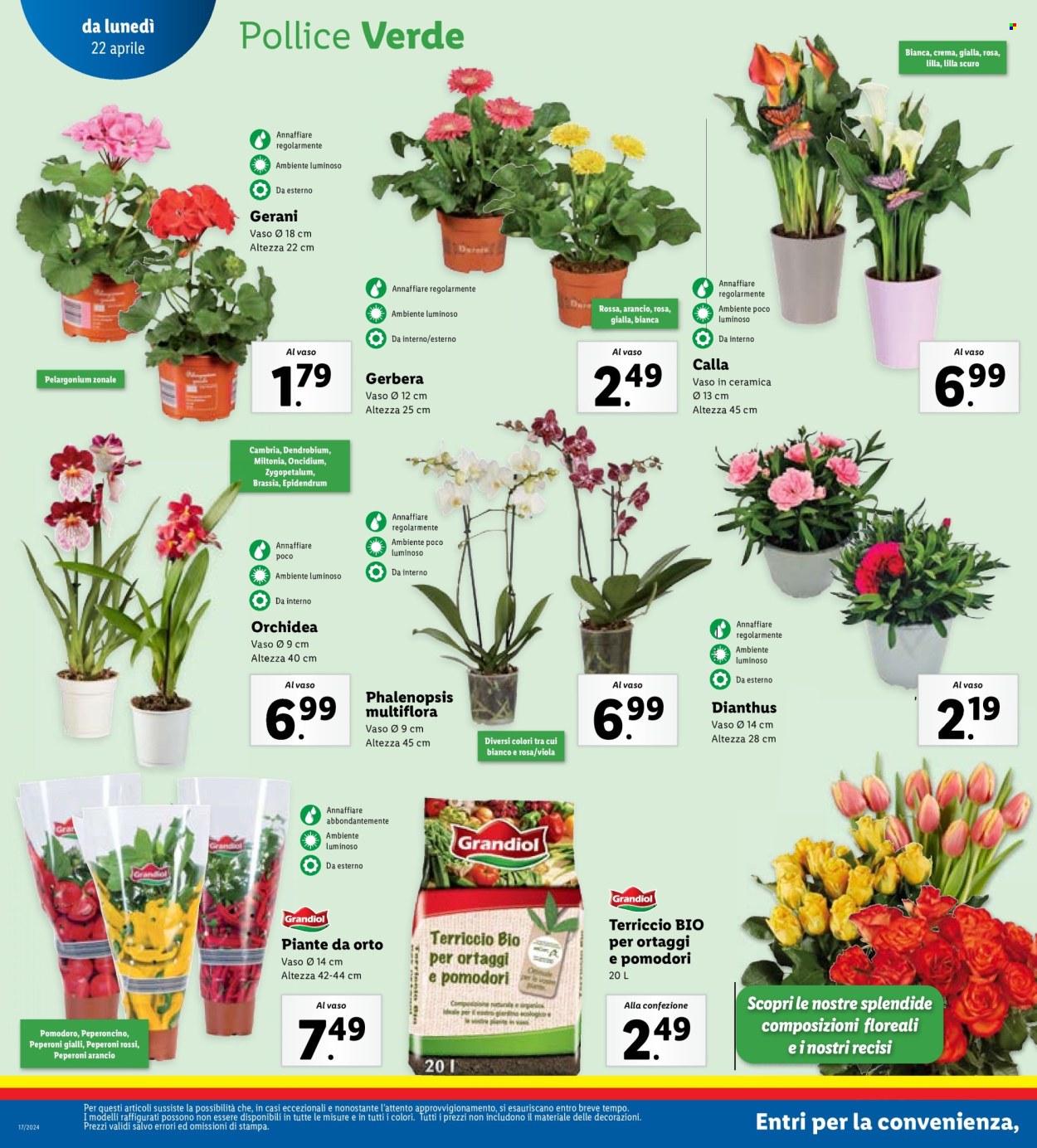 Volantino Lidl - 22/4/2024 - 28/4/2024. Pagina 22