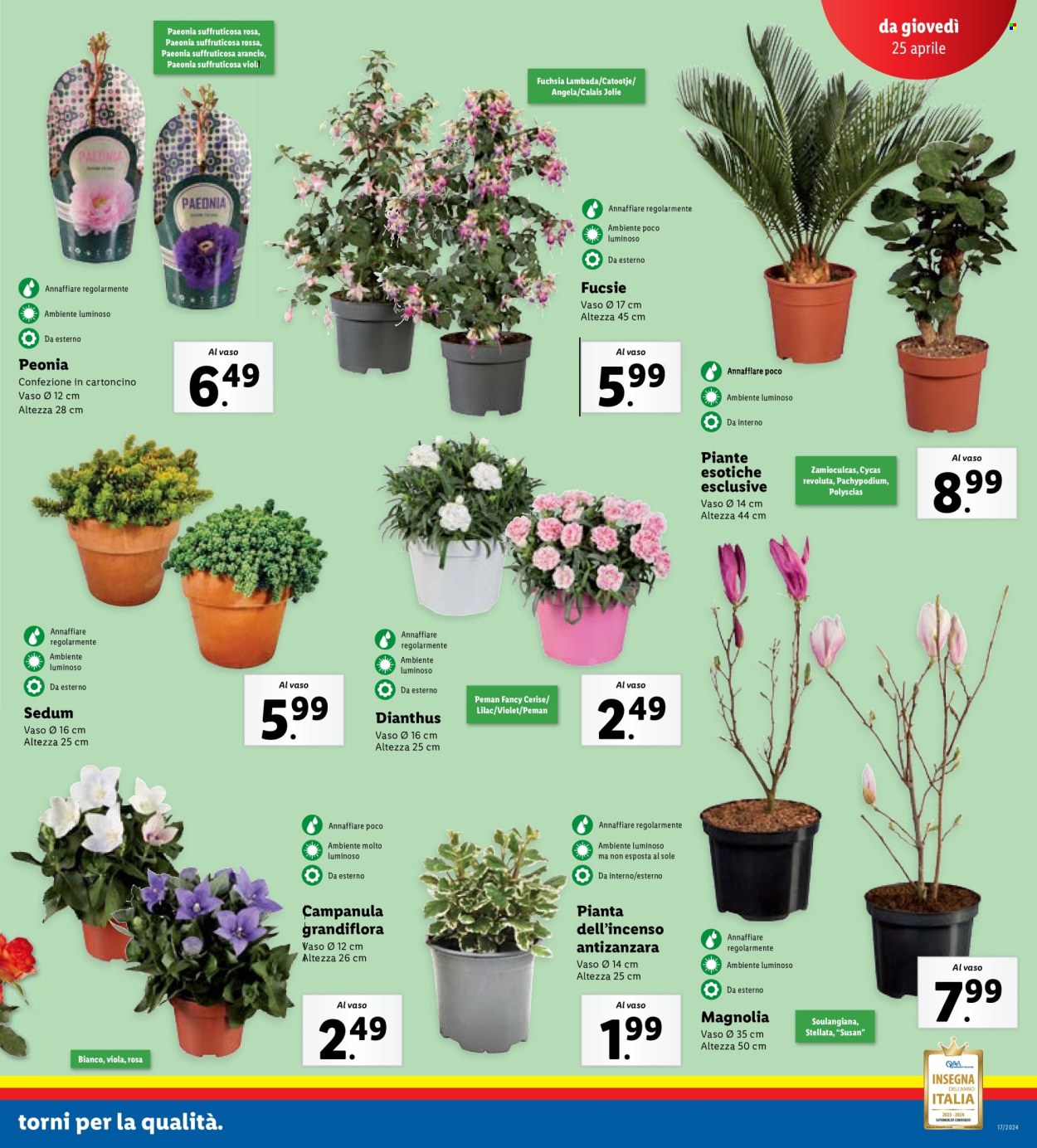Volantino Lidl - 22/4/2024 - 28/4/2024. Pagina 23