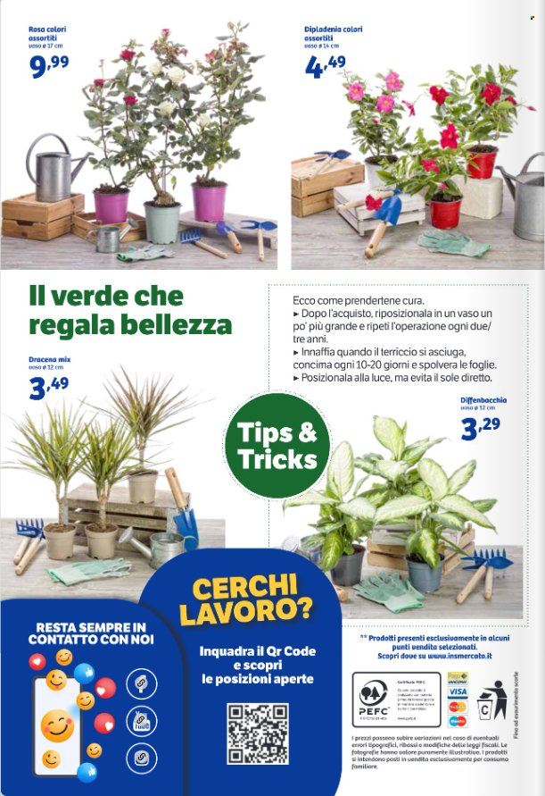 Volantino iN's Mercato - 24/4/2024 - 5/5/2024. Pagina 24