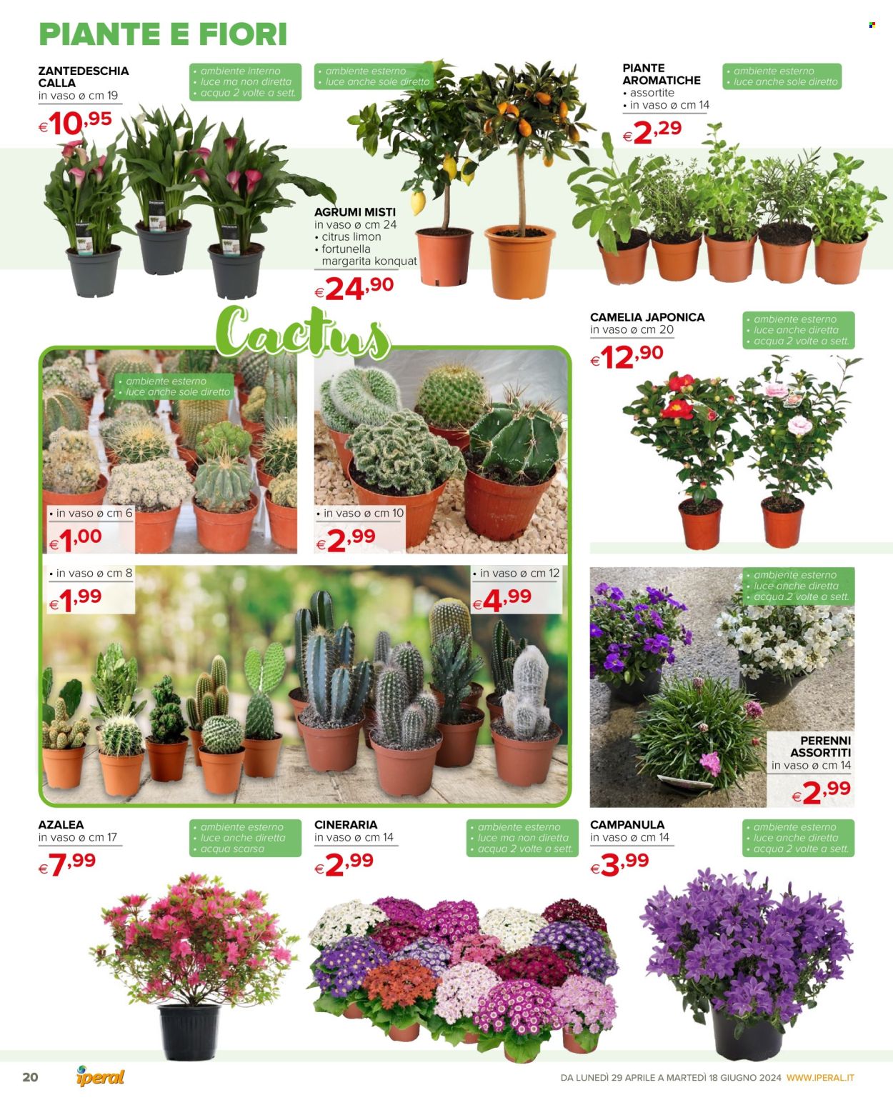 Volantino Iperal - 29/4/2024 - 18/6/2024. Pagina 20