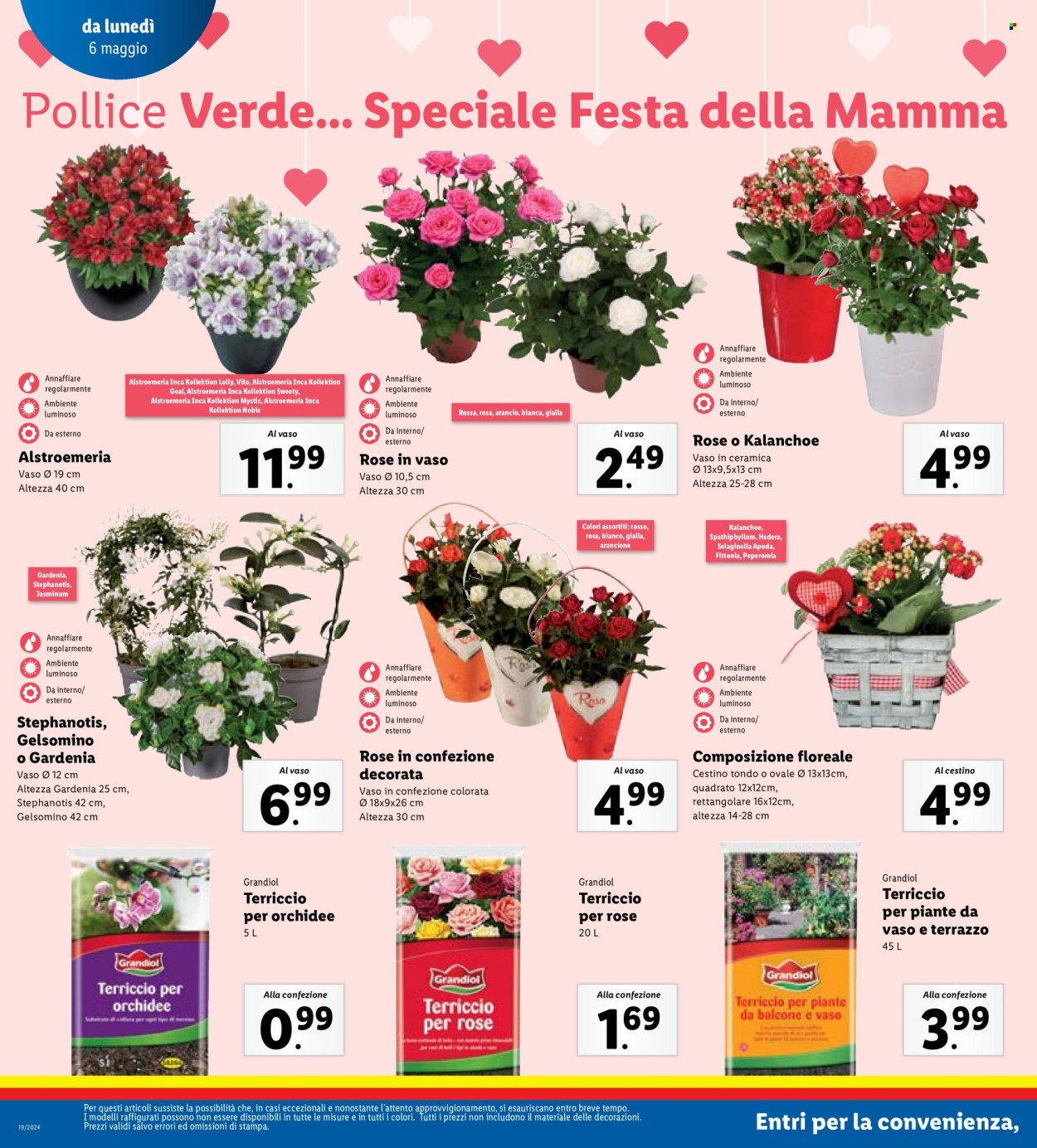 Volantino Lidl - 6/5/2024 - 12/5/2024. Pagina 14