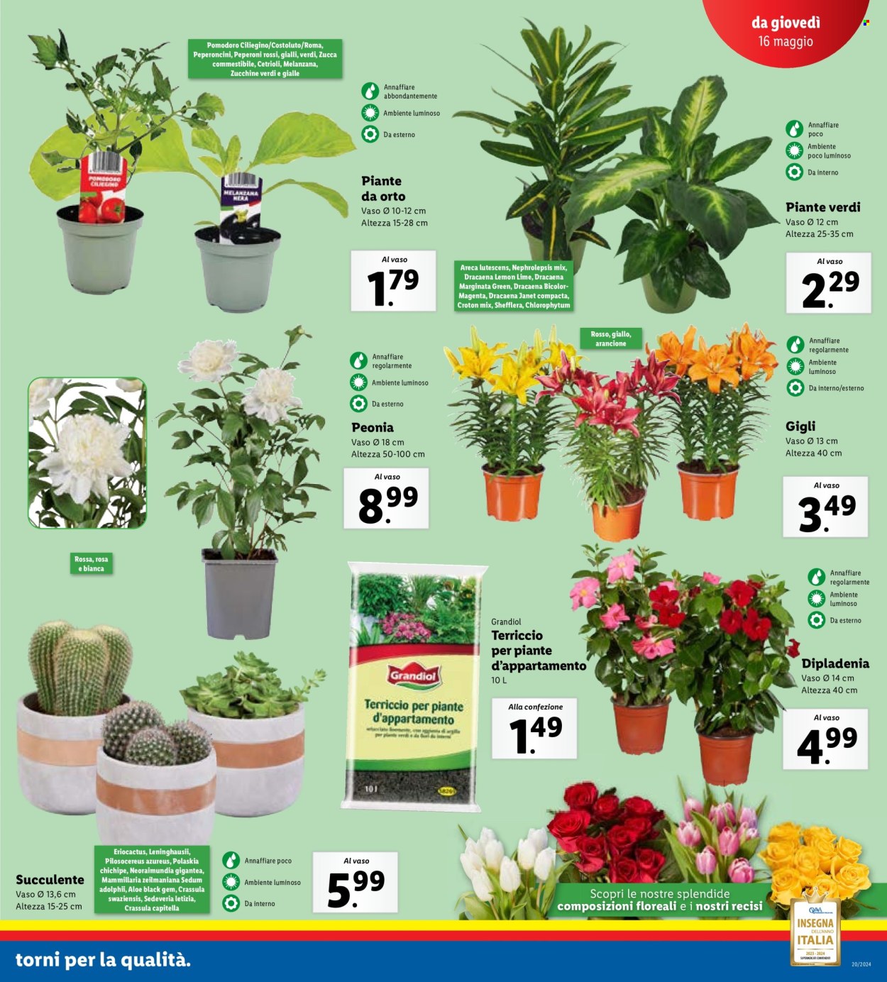 Volantino Lidl - 13/5/2024 - 19/5/2024. Pagina 21
