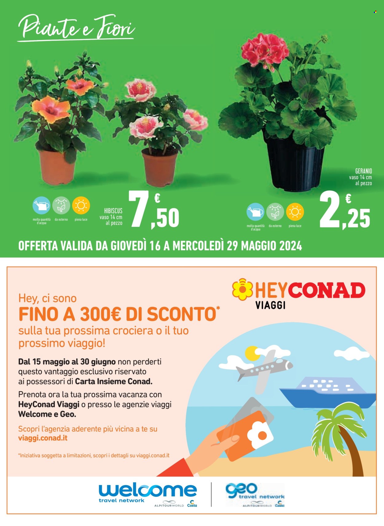 Leták Margherita Conad - 16.5.2024 - 29.5.2024. Strana 17