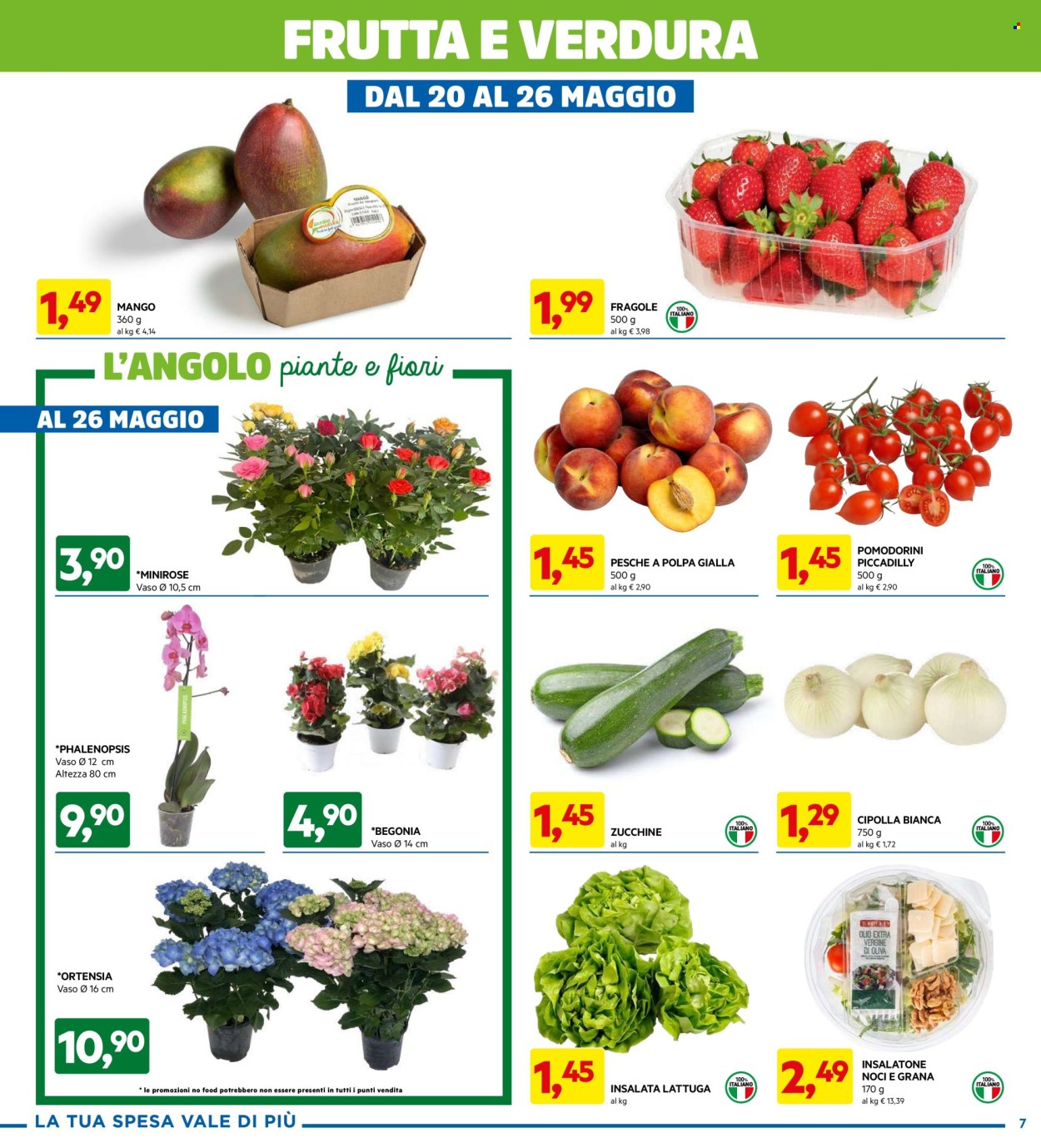 Volantino Dpiù - 13/5/2024 - 26/5/2024. Pagina 7