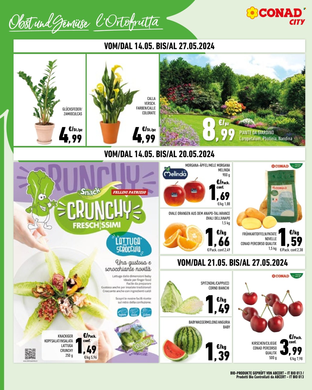 Volantino Conad City - 14/5/2024 - 27/5/2024. Pagina 6