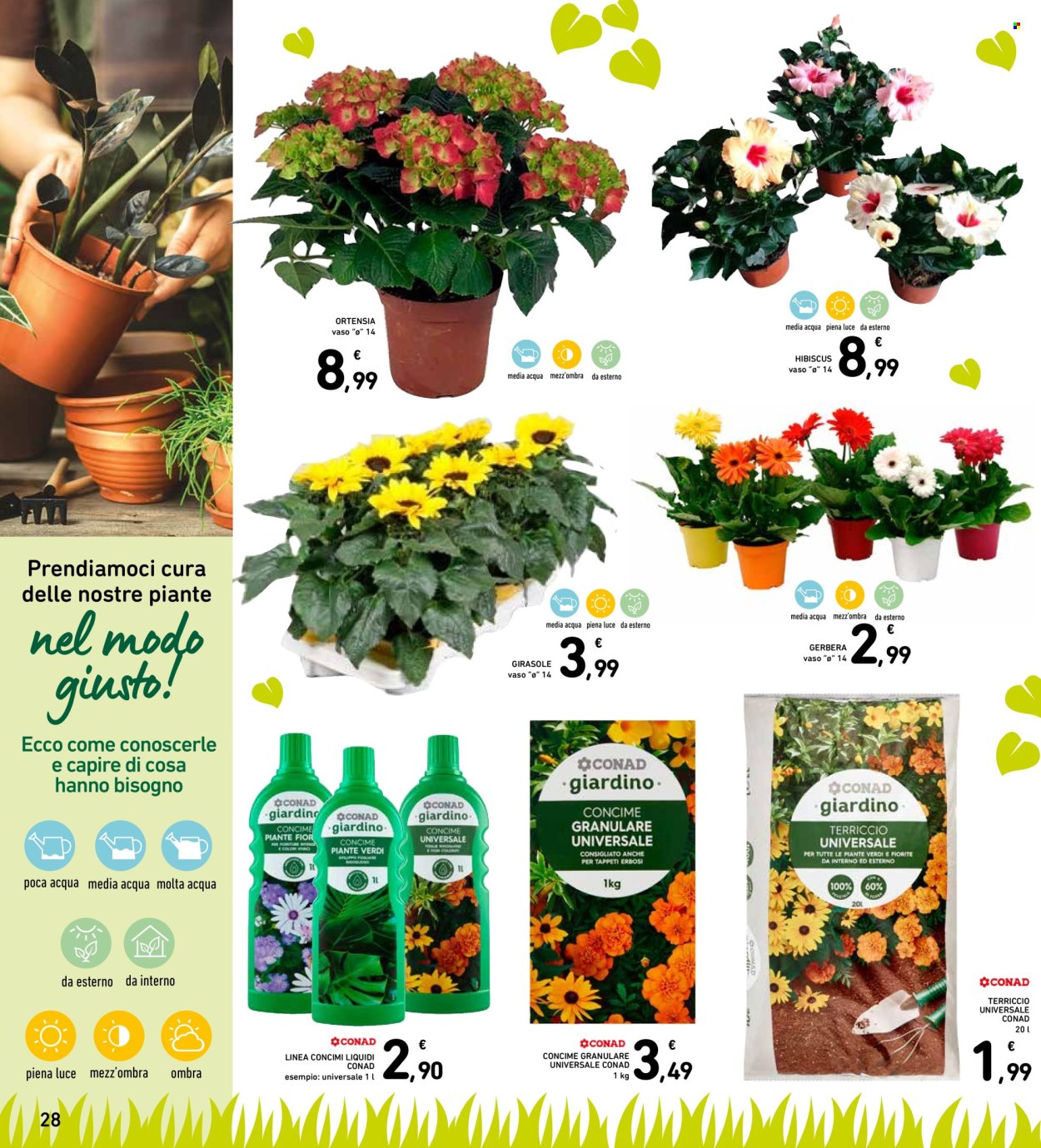 Volantino Spazio Conad - 20/5/2024 - 29/5/2024. Pagina 28