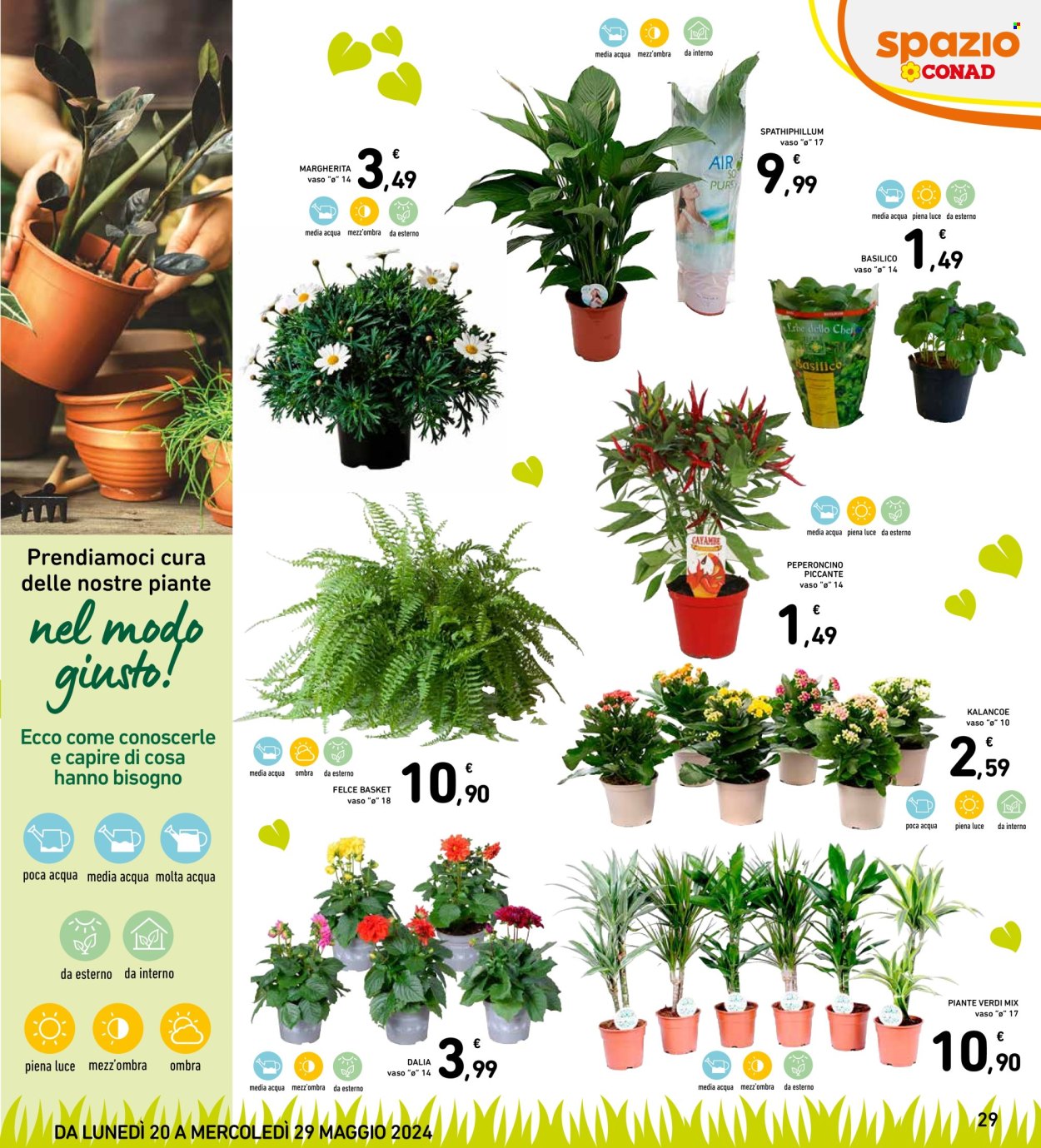 Volantino Spazio Conad - 20/5/2024 - 29/5/2024. Pagina 29