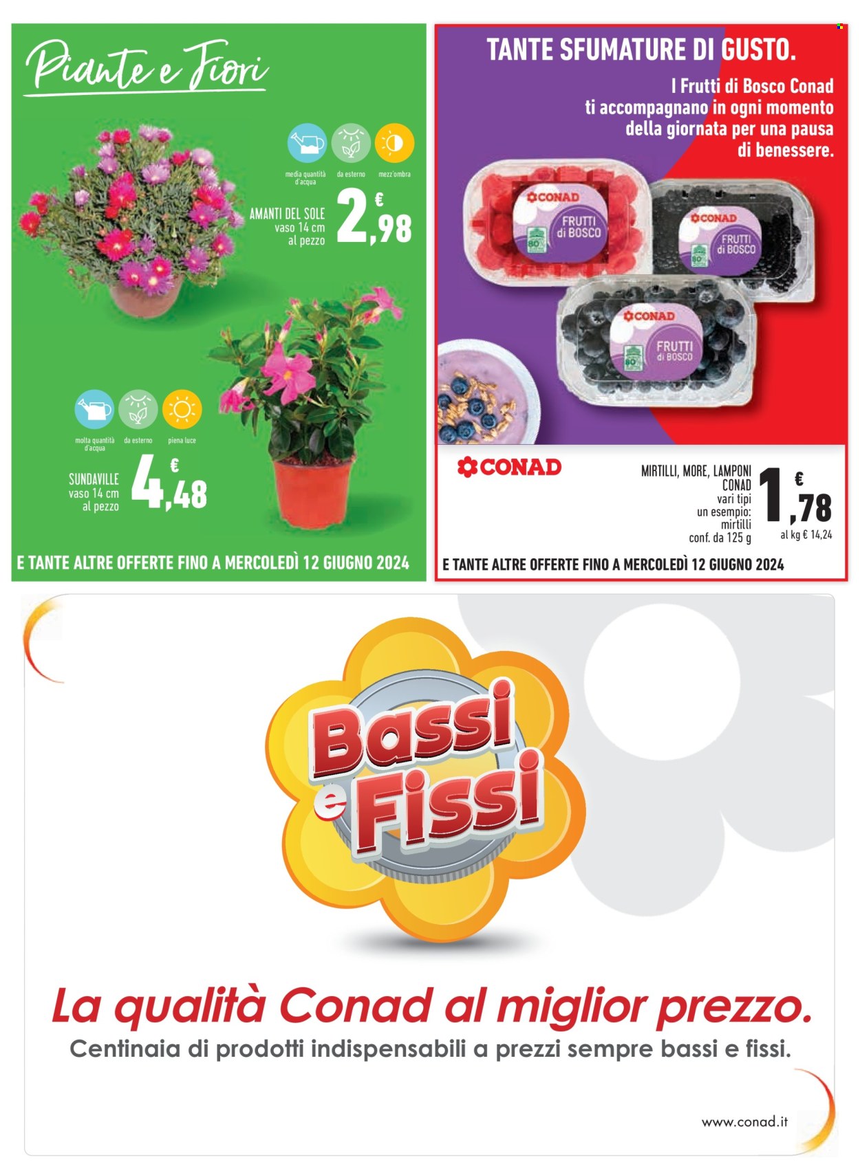 Volantino Margherita Conad - 30/5/2024 - 12/6/2024. Pagina 15