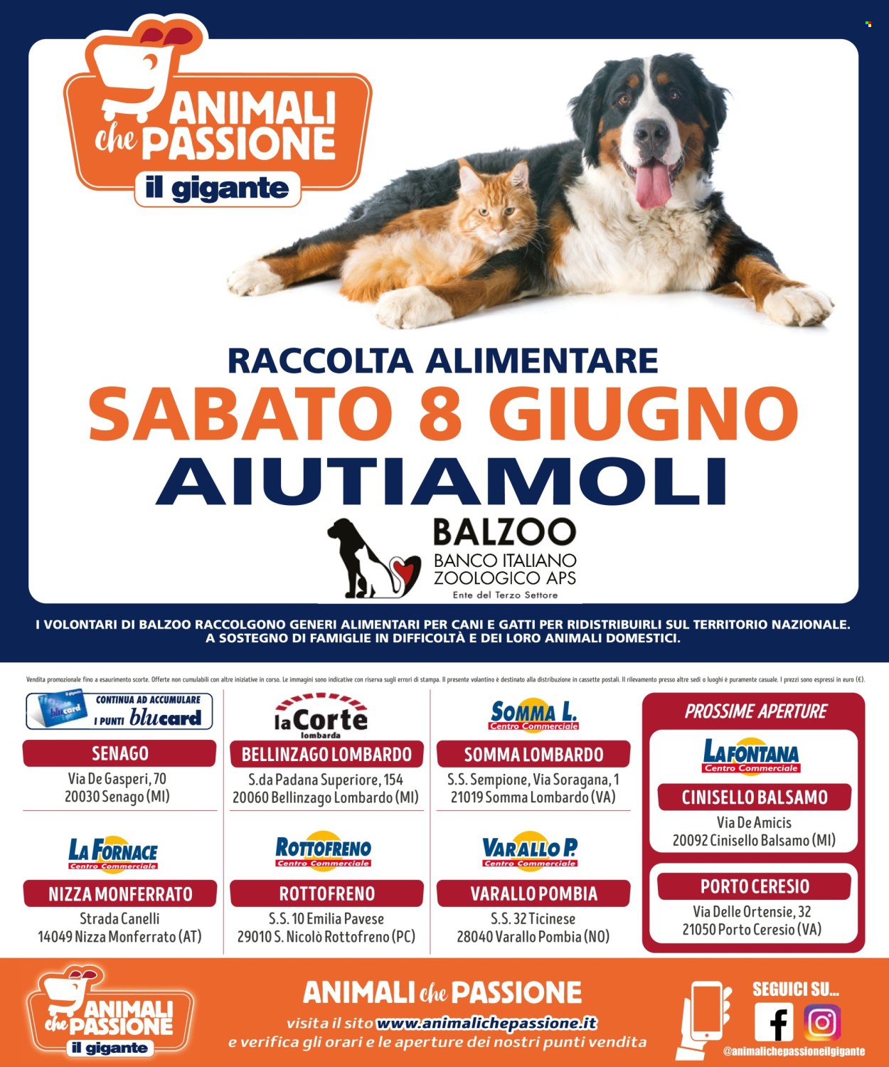 Volantino Il Gigante - 27/5/2024 - 23/6/2024. Pagina 8