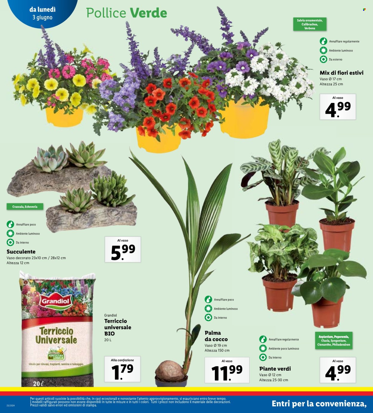 Volantino Lidl - 3/6/2024 - 9/6/2024. Pagina 22