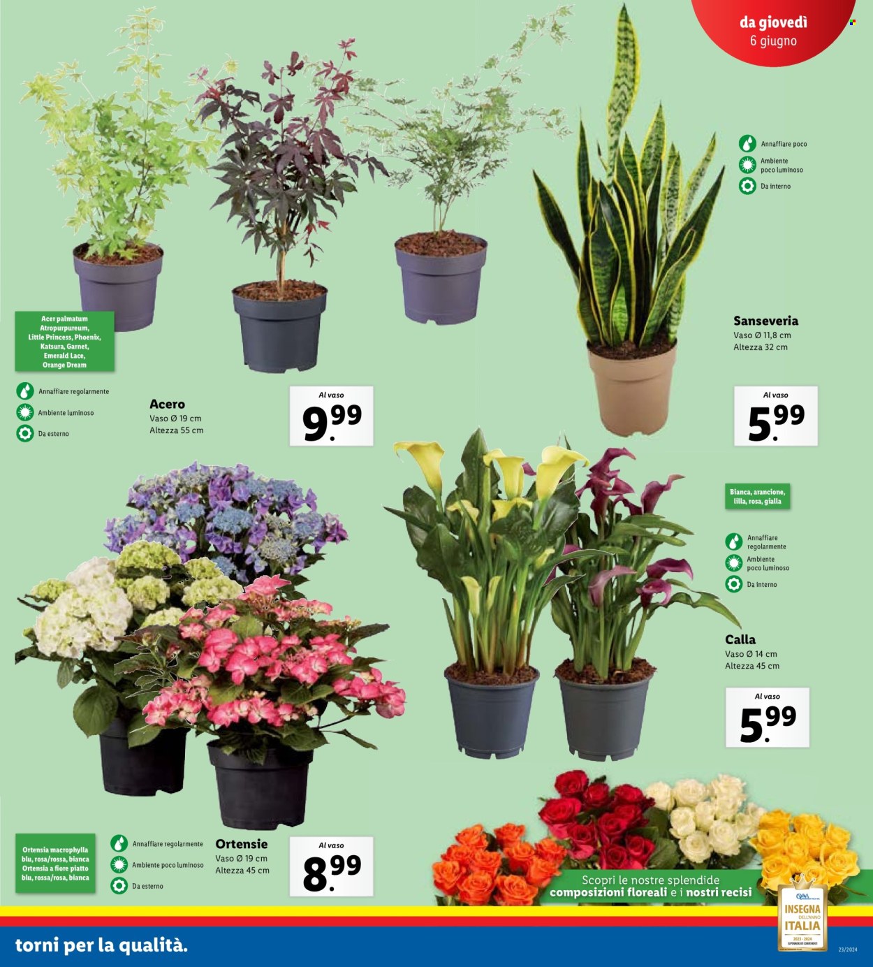 Volantino Lidl - 3/6/2024 - 9/6/2024. Pagina 23