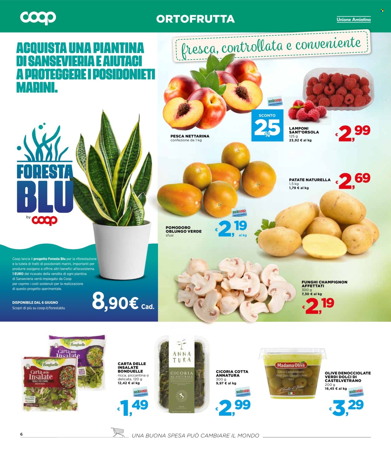 Leták Coop - 30.5.2024 - 12.6.2024. Strana 6