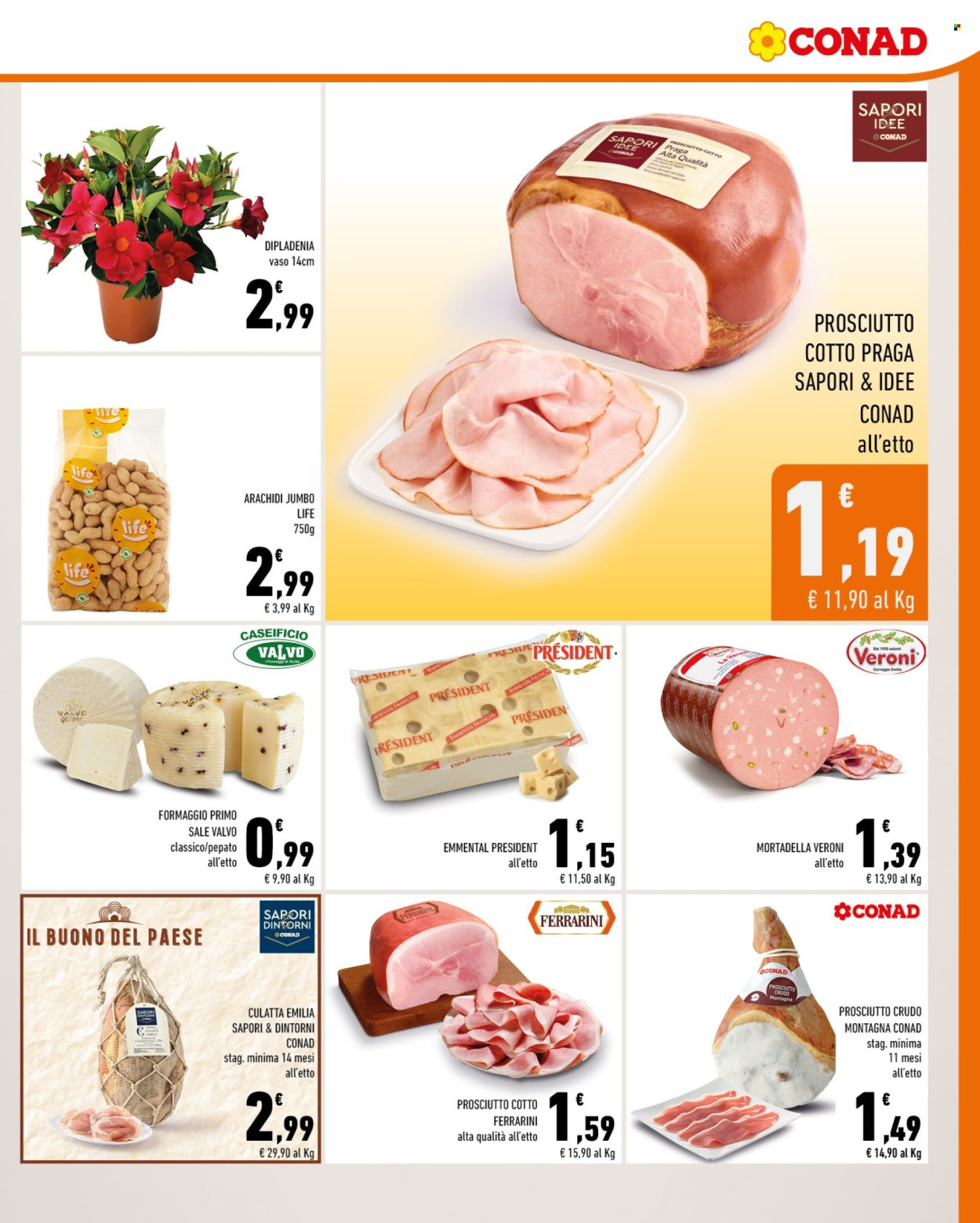 Leták Conad - 5.6.2024 - 11.6.2024. Strana 3