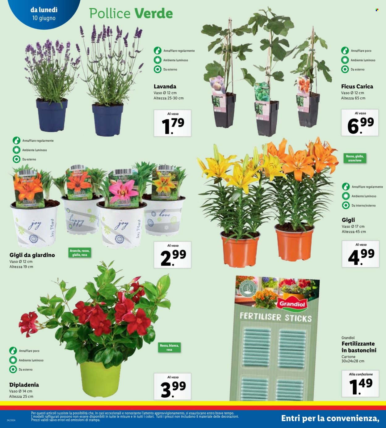 Volantino Lidl - 10/6/2024 - 16/6/2024. Pagina 16