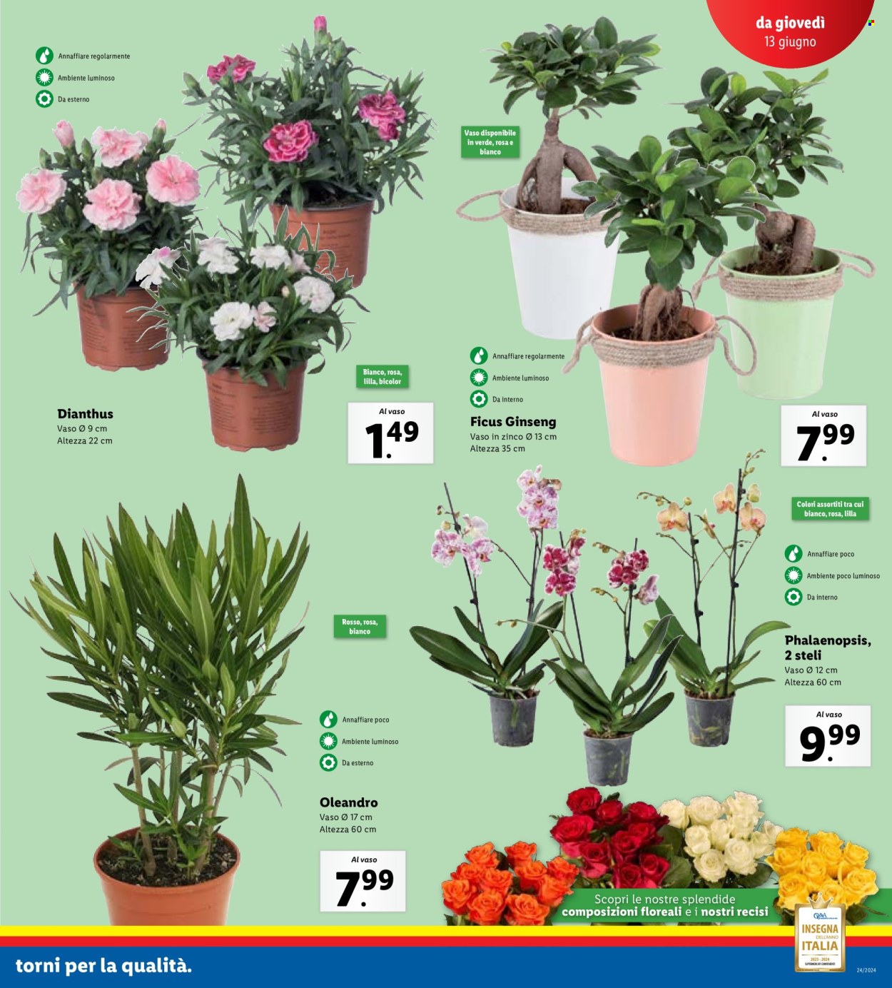 Volantino Lidl - 10/6/2024 - 16/6/2024. Pagina 17