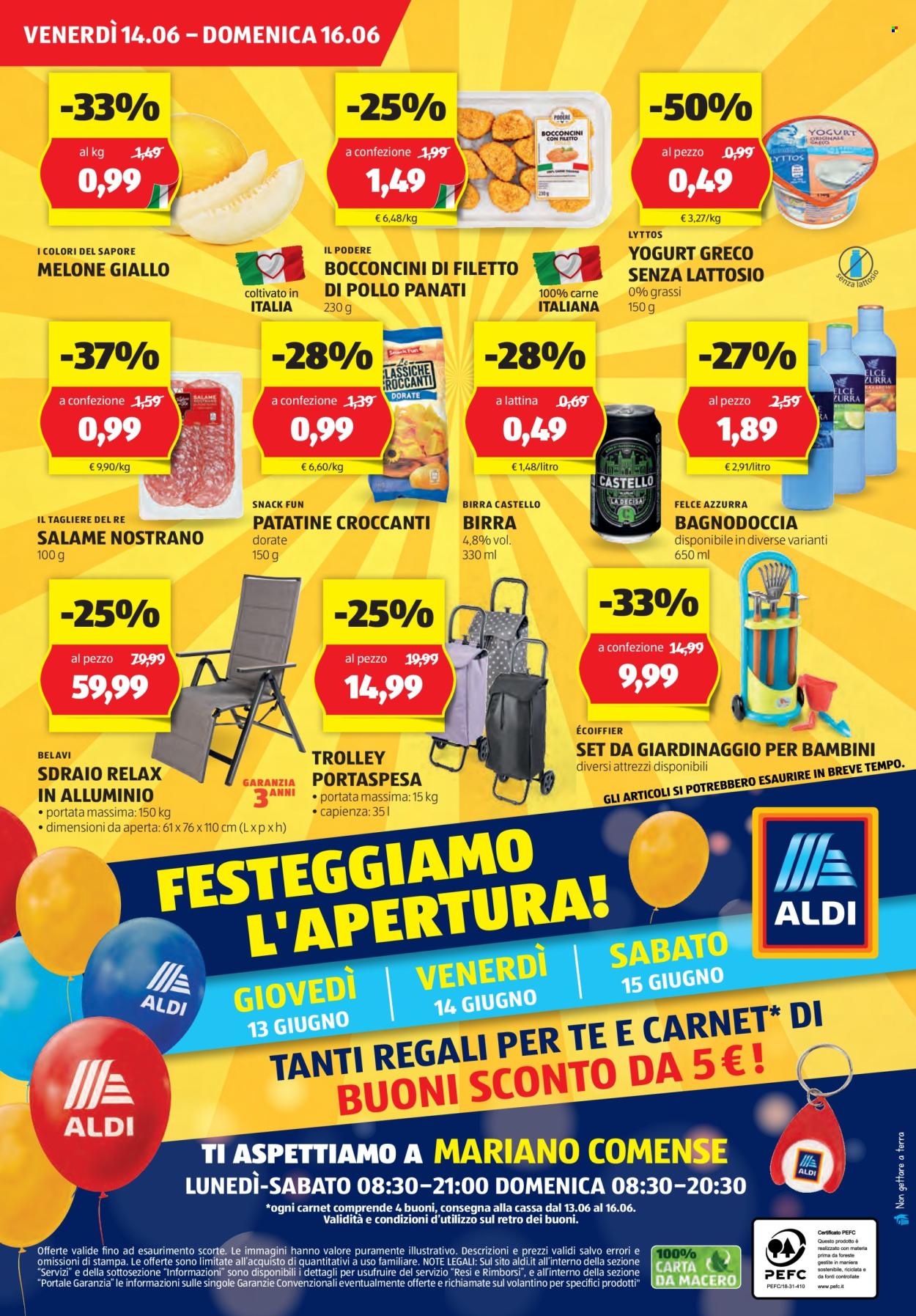 Volantino Aldi - 13/6/2024 - 16/6/2024. Pagina 16