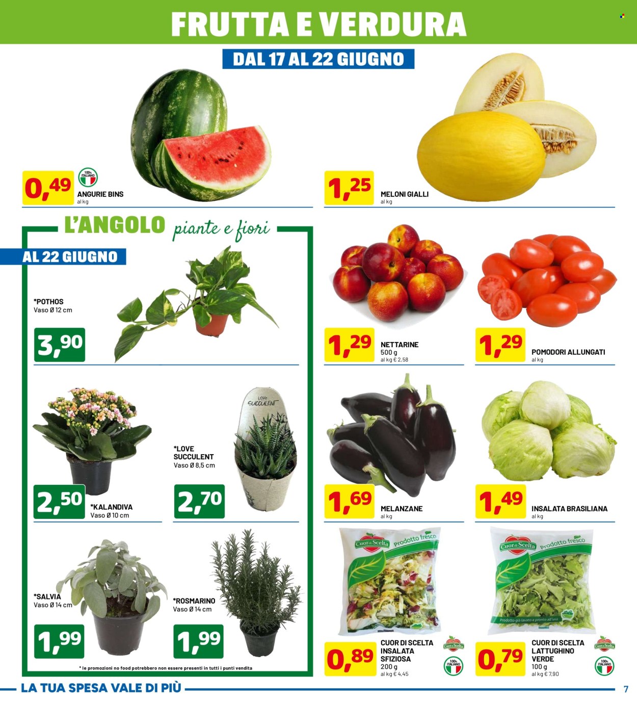 Volantino Dpiù - 10/6/2024 - 22/6/2024. Pagina 7