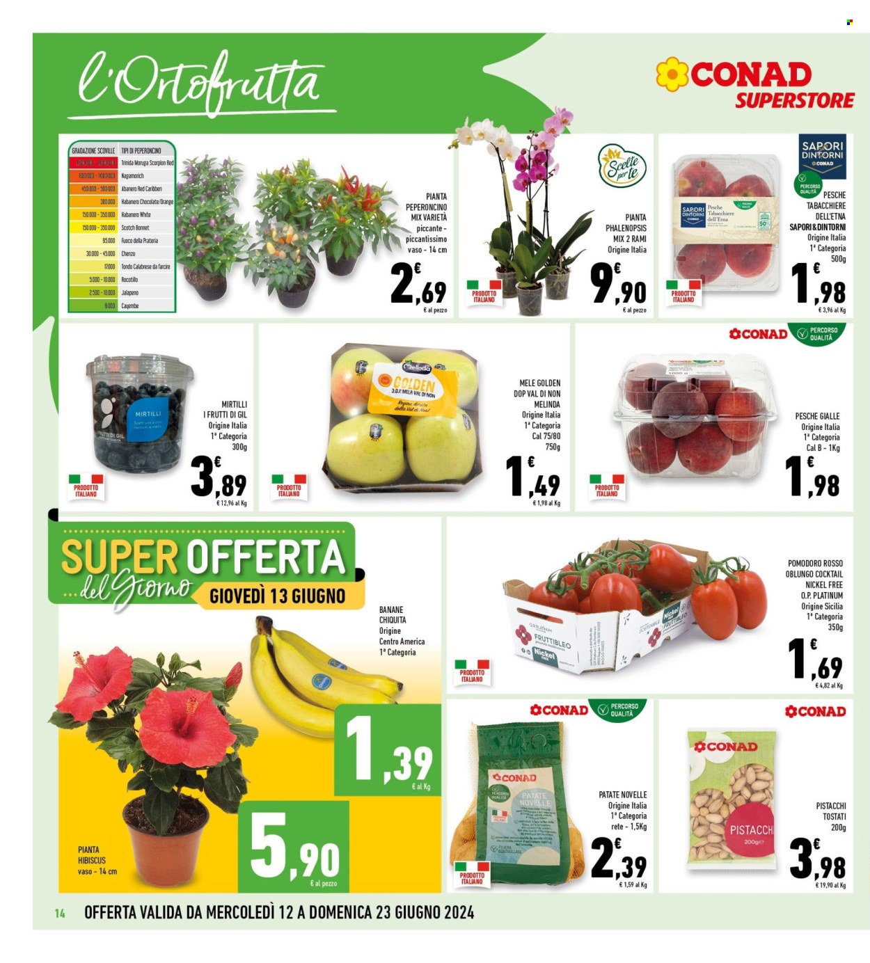 Leták Conad Superstore - 12.6.2024 - 23.6.2024. Strana 14