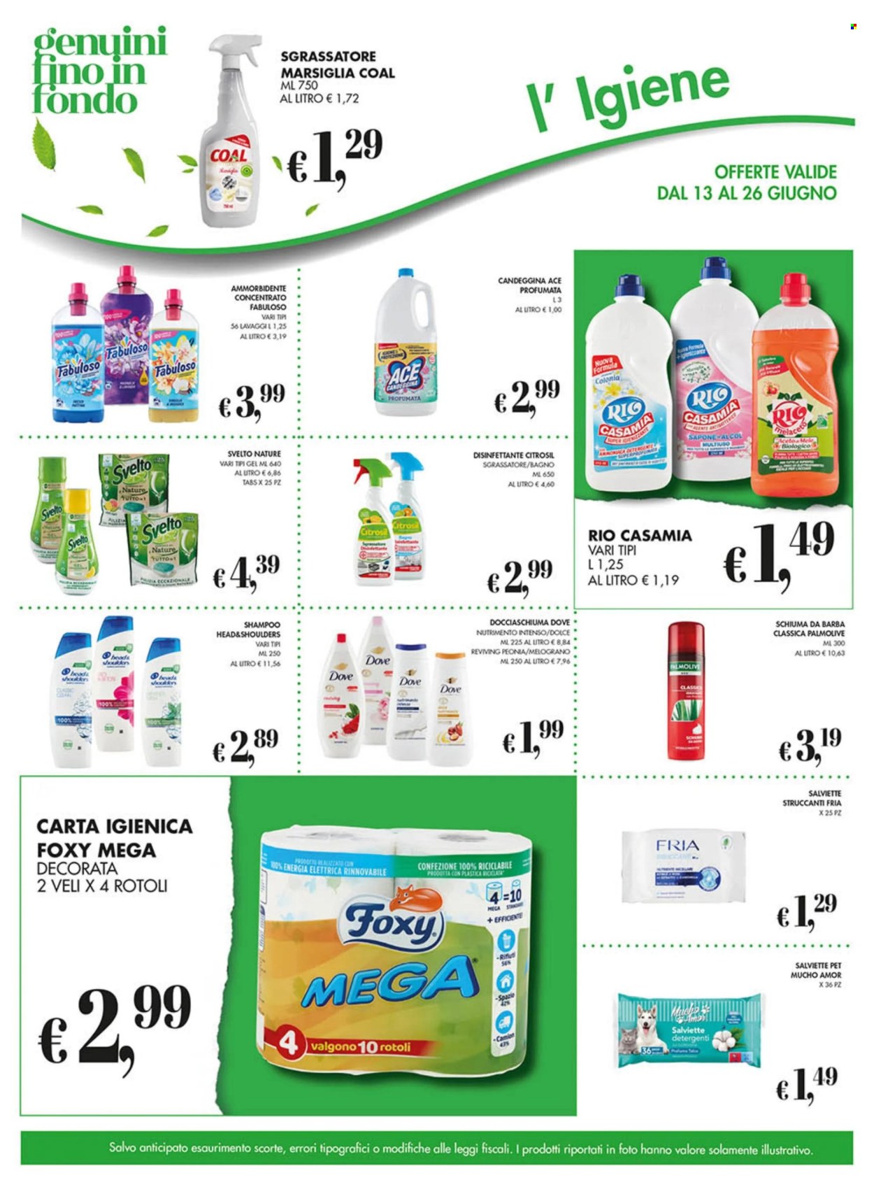 Volantino COAL - 13/6/2024 - 26/6/2024. Pagina 15