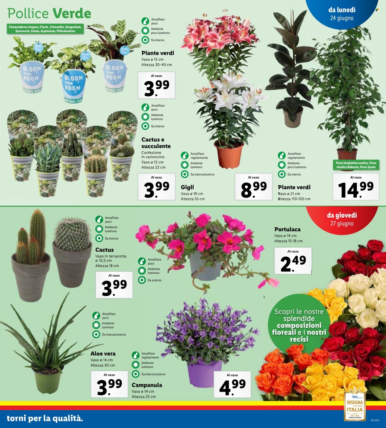 Volantino Lidl - 24/6/2024 - 30/6/2024. Pagina 15