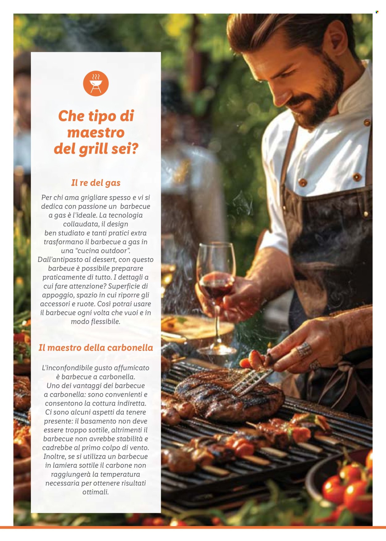 Volantino Lidl. Pagina 13