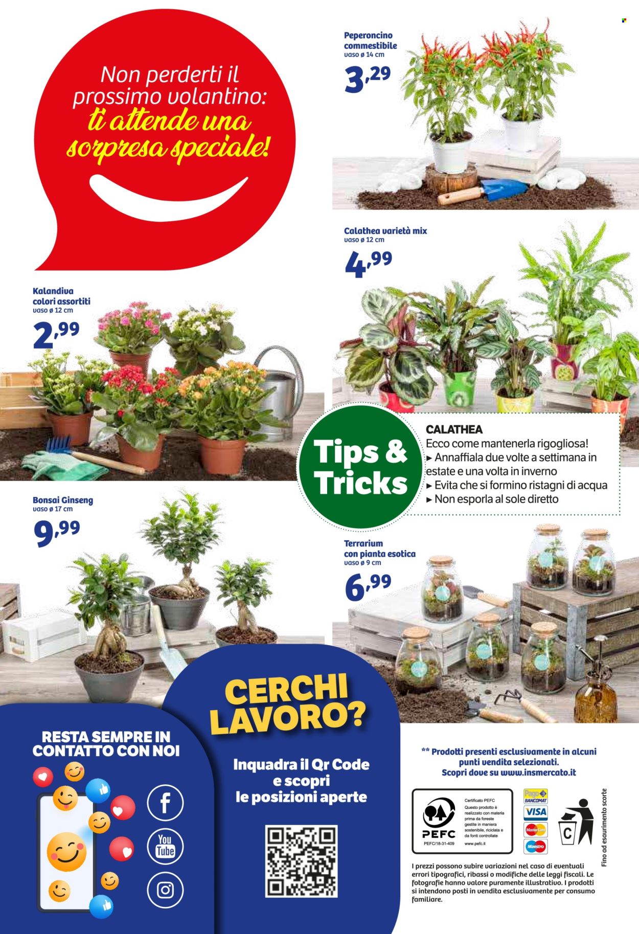 Volantino iN's Mercato - 3/7/2024 - 14/7/2024. Pagina 24