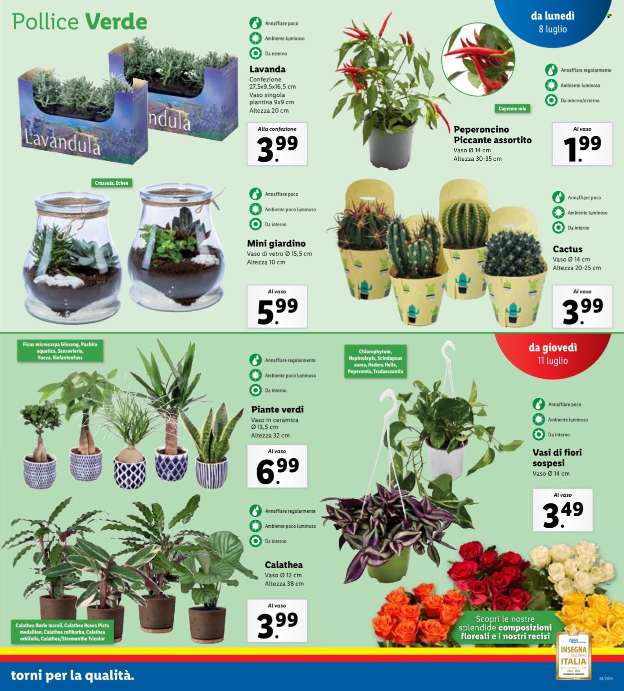 Volantino Lidl - 8/7/2024 - 14/7/2024. Pagina 27