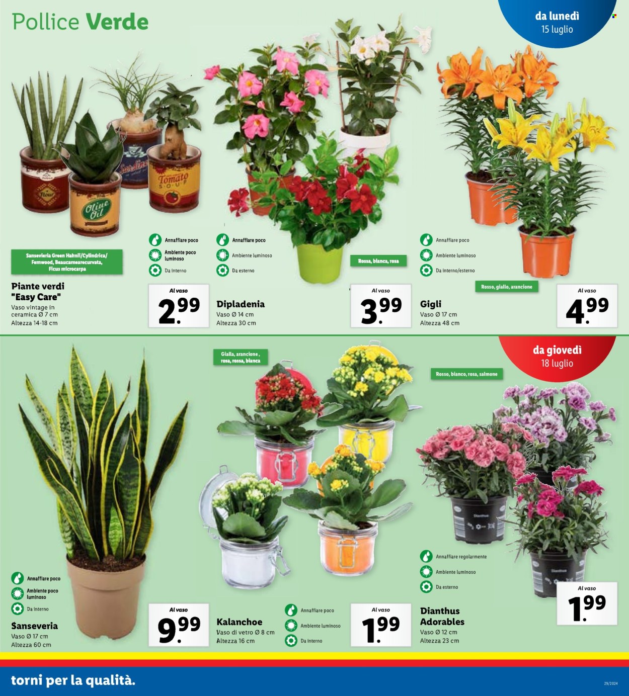 Volantino Lidl - 15/7/2024 - 21/7/2024. Pagina 25