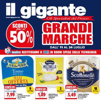 Volantino Il Gigante - 11/7/2024 - 24/7/2024.