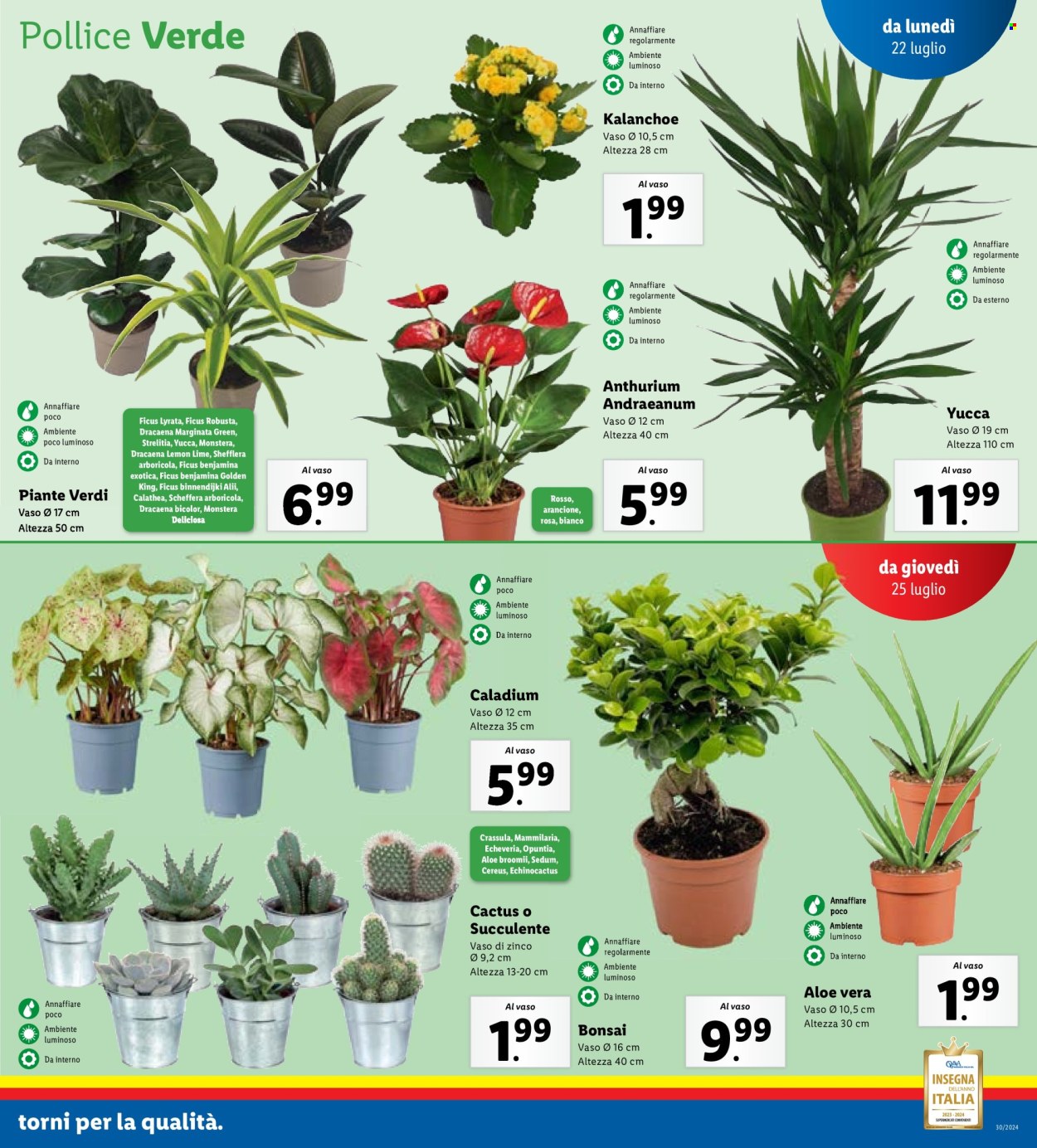 Volantino Lidl - 22/7/2024 - 28/7/2024. Pagina 35