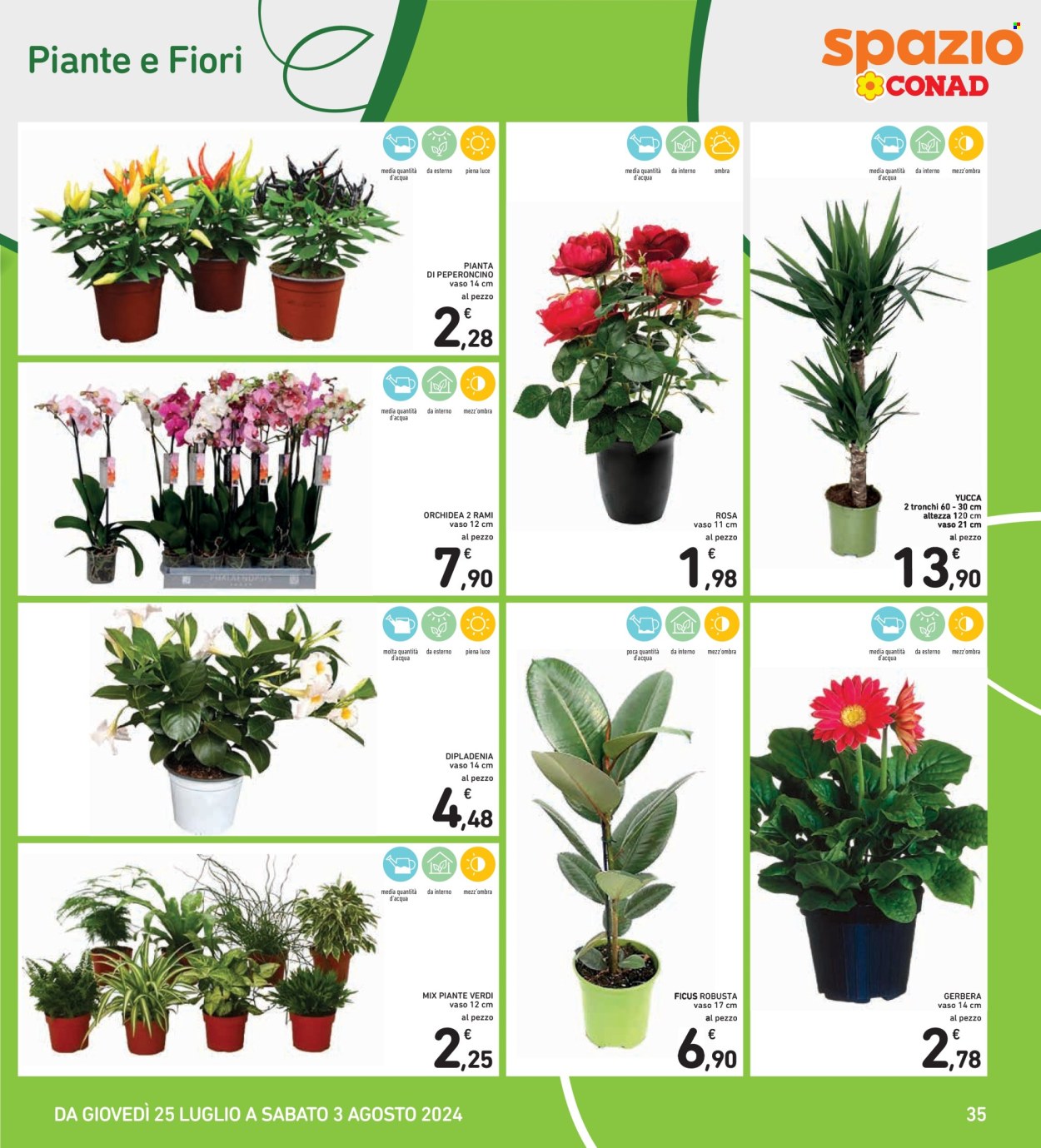 Volantino Spazio Conad - 25/7/2024 - 3/8/2024. Pagina 35