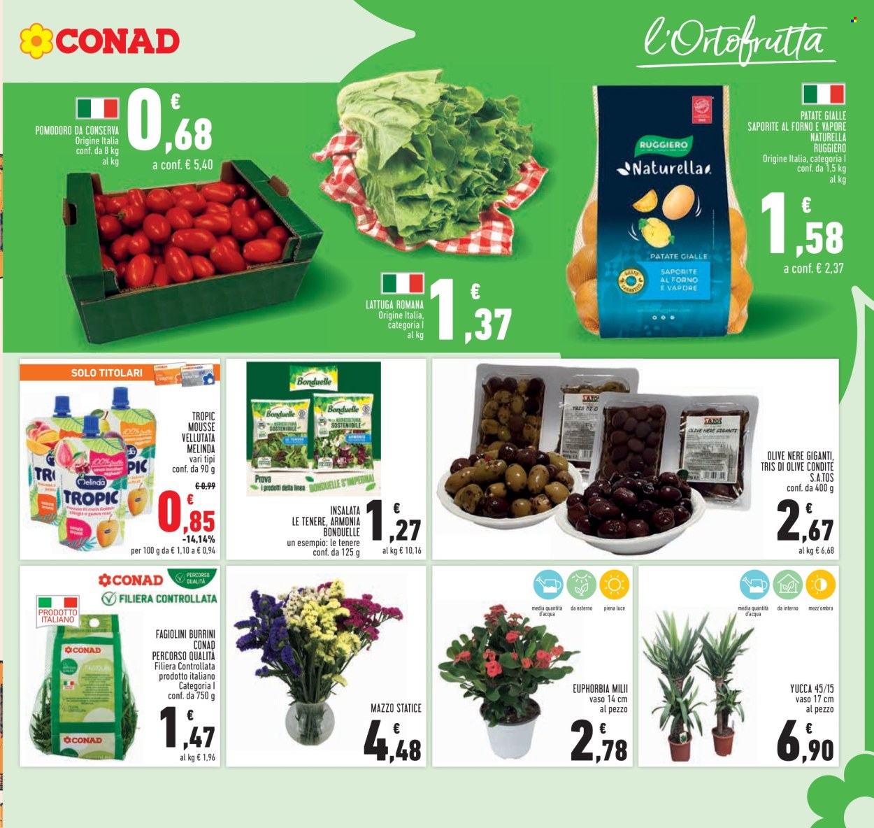 Volantino Conad - 25/7/2024 - 7/8/2024. Pagina 7
