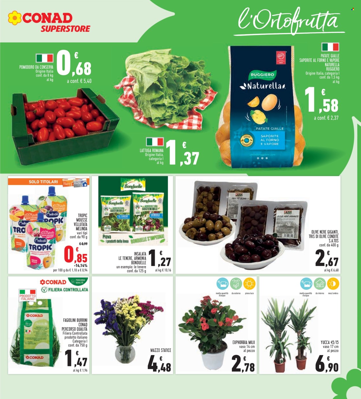 Volantino Conad Superstore - 25/7/2024 - 7/8/2024. Pagina 9