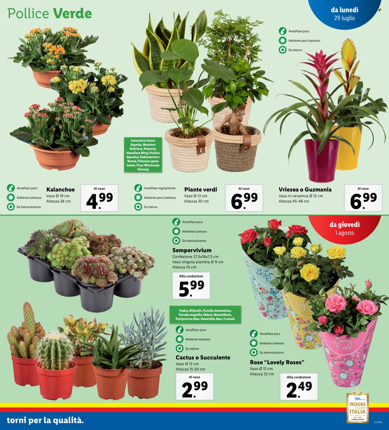 Volantino Lidl - 29/7/2024 - 4/8/2024. Pagina 19
