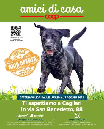 Volantino Coop - 11/7/2024 - 7/8/2024.