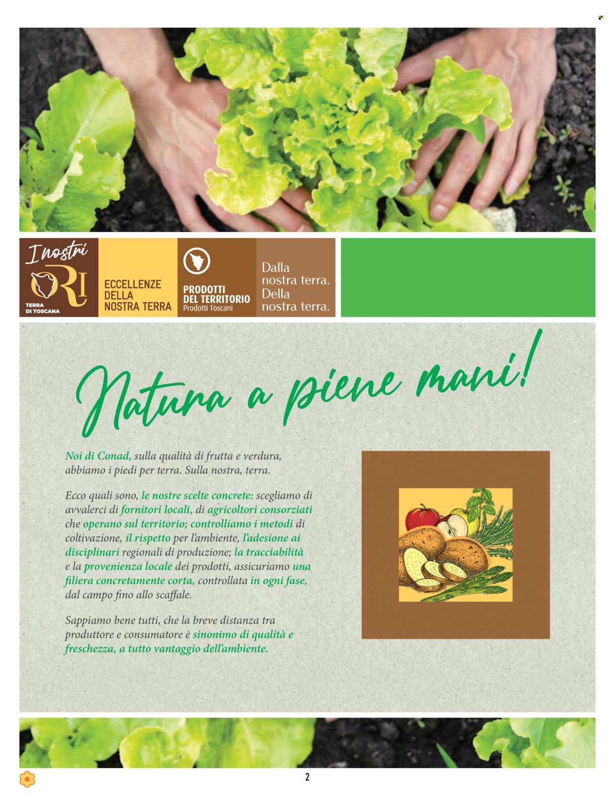 Leták Conad - 8.8.2024 - 21.8.2024. Strana 2